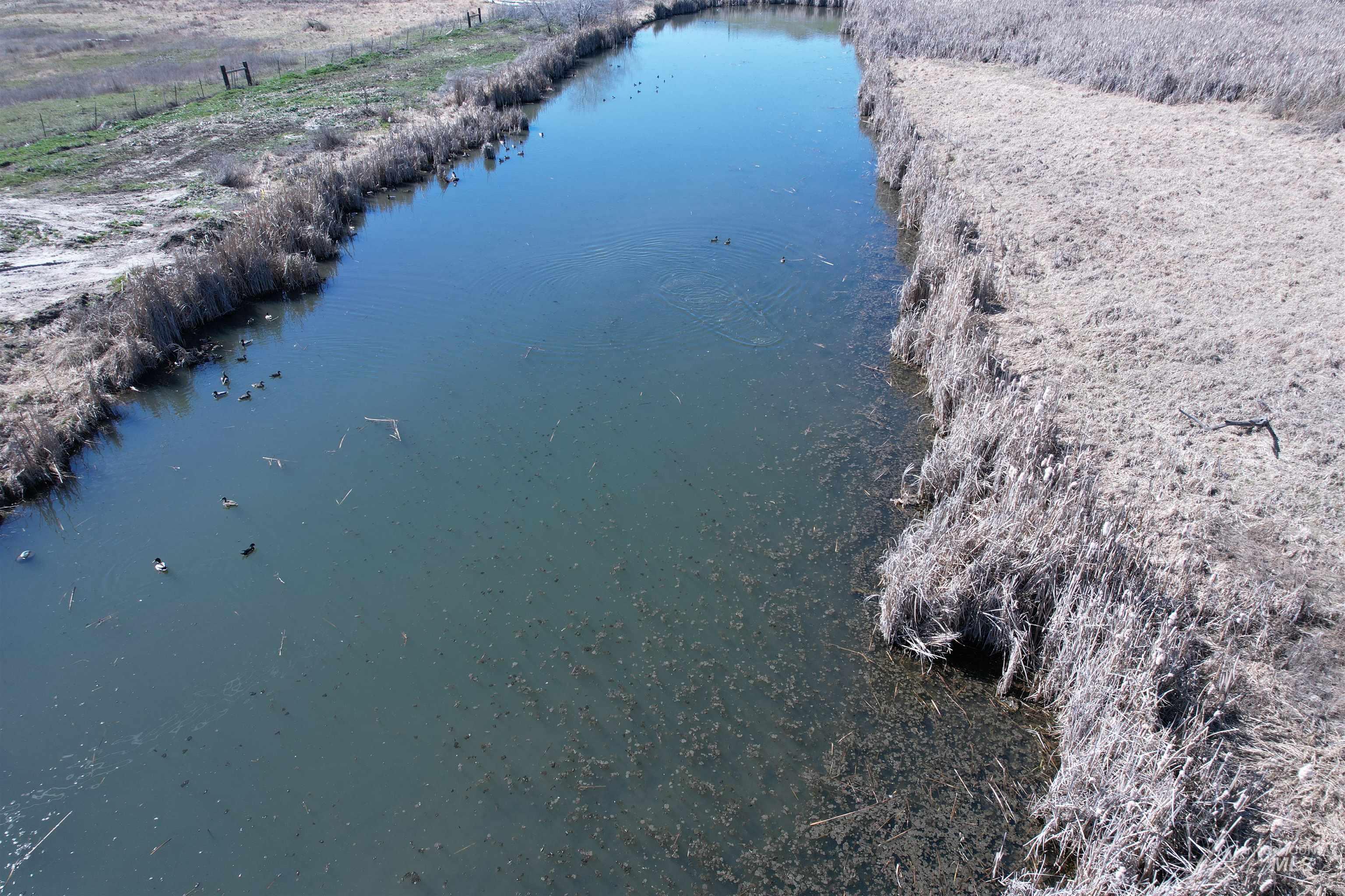 5448 W Black Canyon, Emmett, Idaho 83617, 3 Bedrooms, 2 Bathrooms, Farm & Ranch For Sale, Price $2,000,000, 98976234