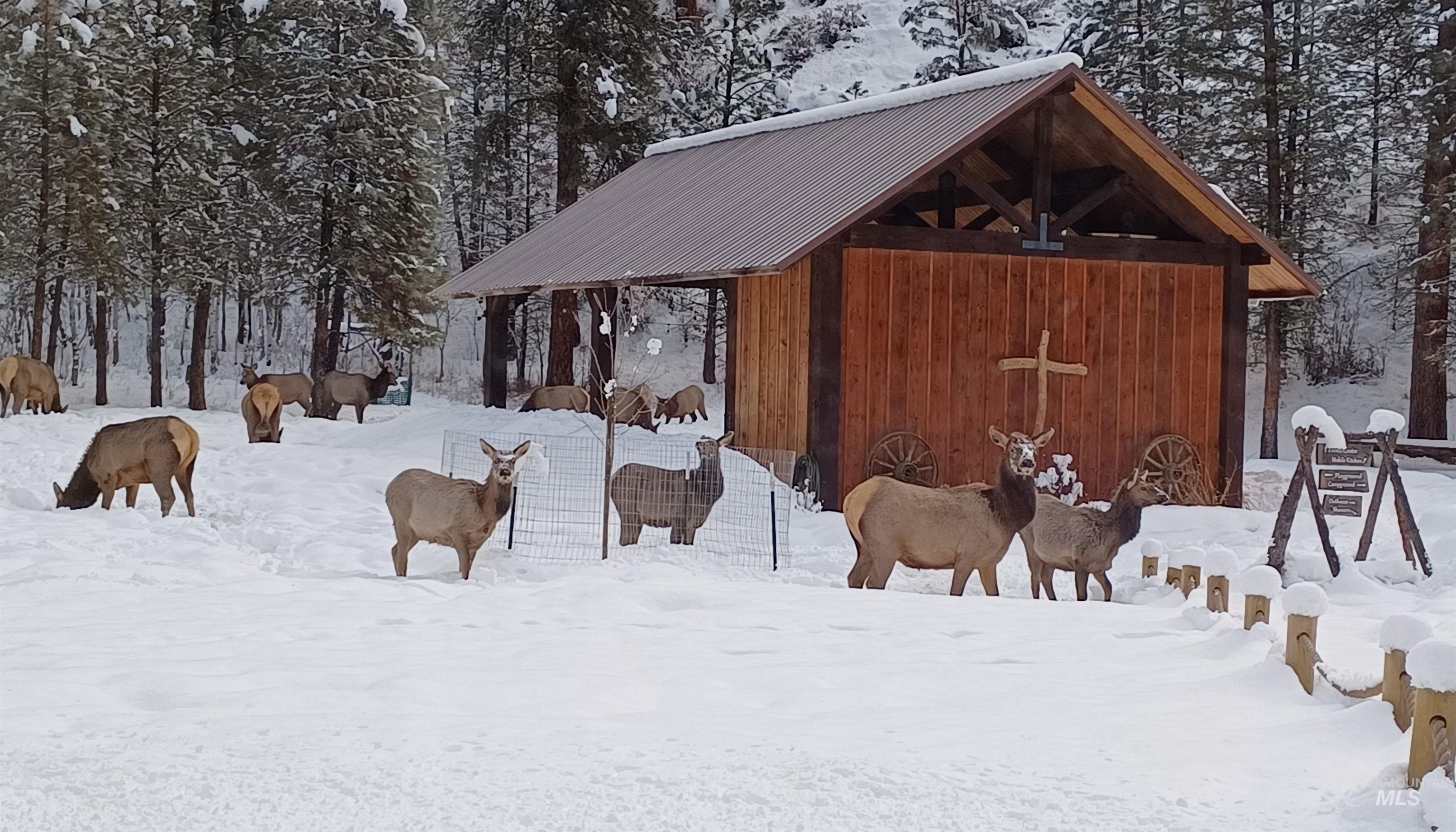3193 Hwy 21, Boise, Idaho 83716, 4 Bedrooms, 4 Bathrooms, Residential For Sale, Price $1,800,000, 98976290
