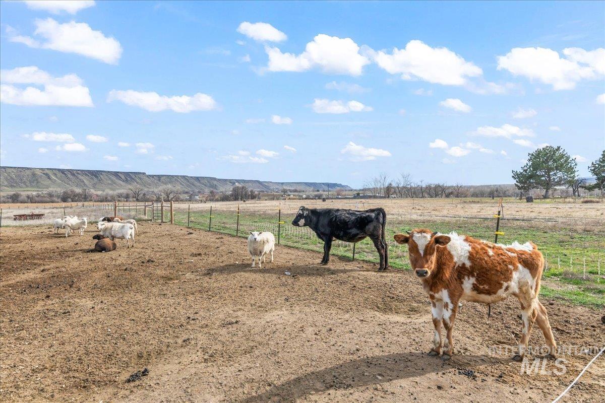 8843 State Hwy 78, Marsing, Idaho 83639, 4 Bedrooms, 3 Bathrooms, Residential For Sale, Price $950,000, 98976314