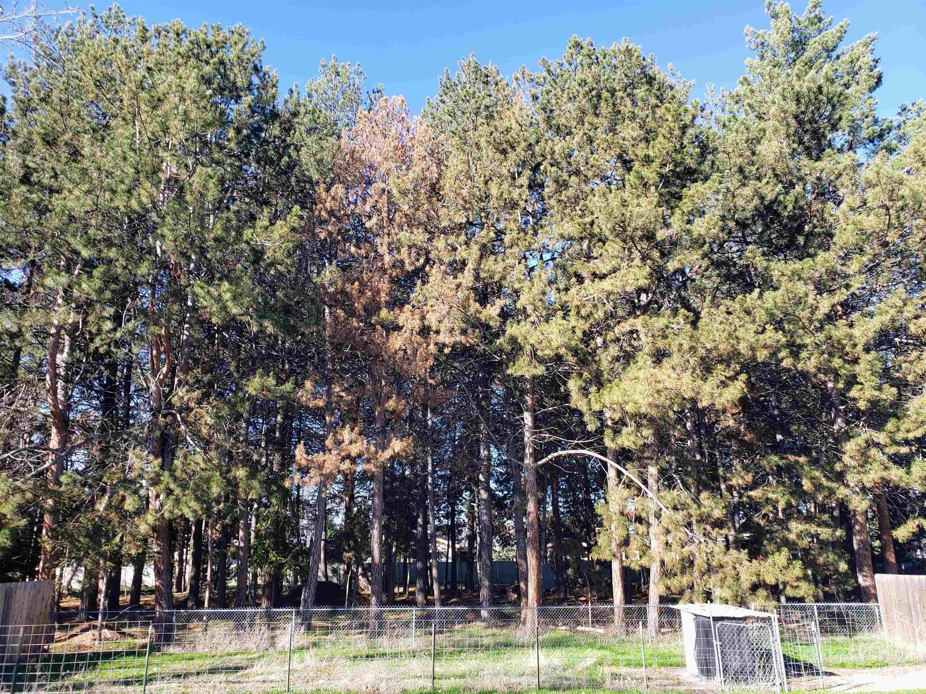 4633 N Jennifer, Boise, Idaho 83704, 3 Bedrooms, 1.5 Bathrooms, Residential For Sale, Price $414,900,MLS 98976344