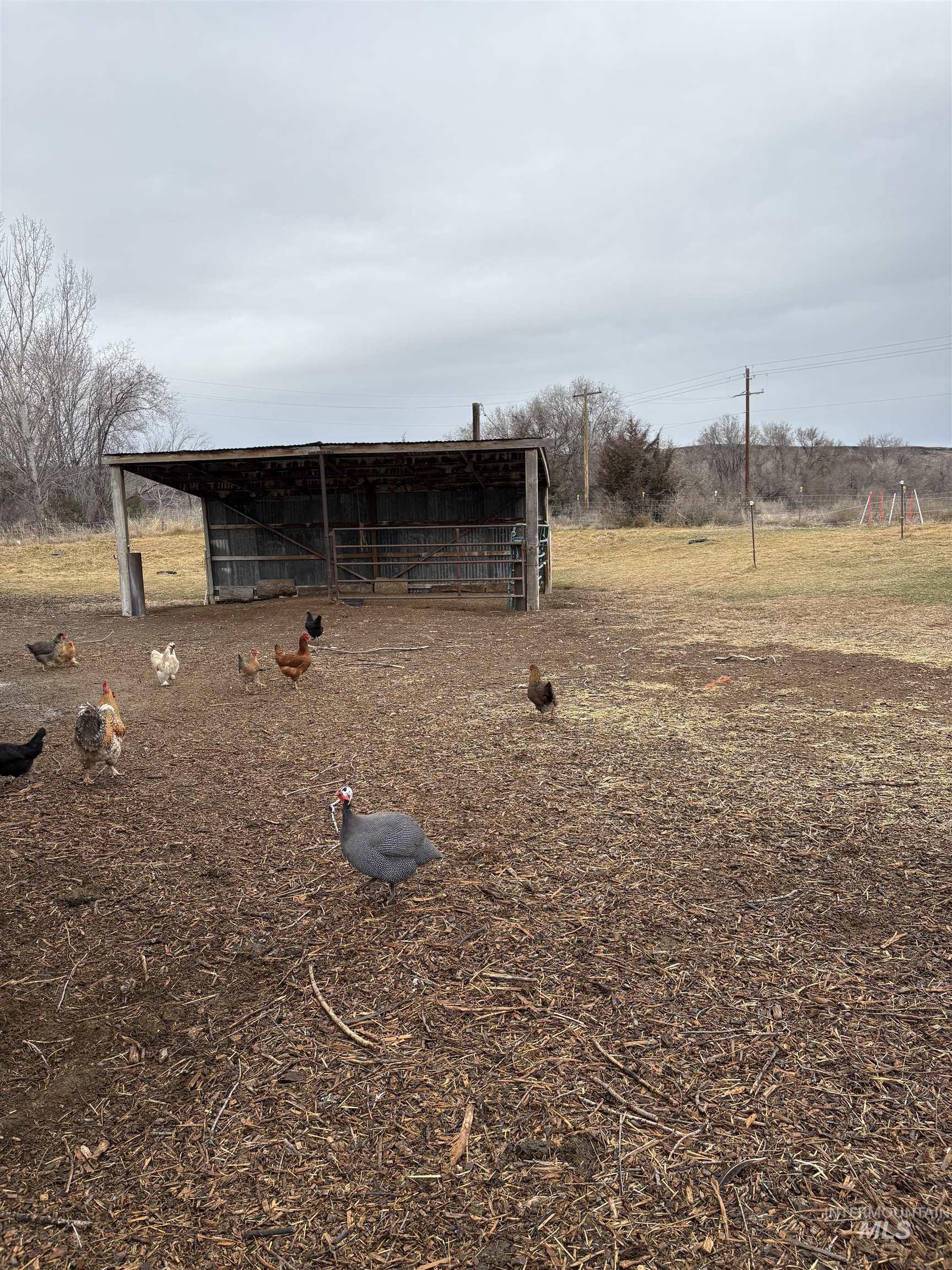 8241 Butte, Melba, Idaho 83641, 3 Bedrooms, 2 Bathrooms, Residential For Sale, Price $925,000, 98976354