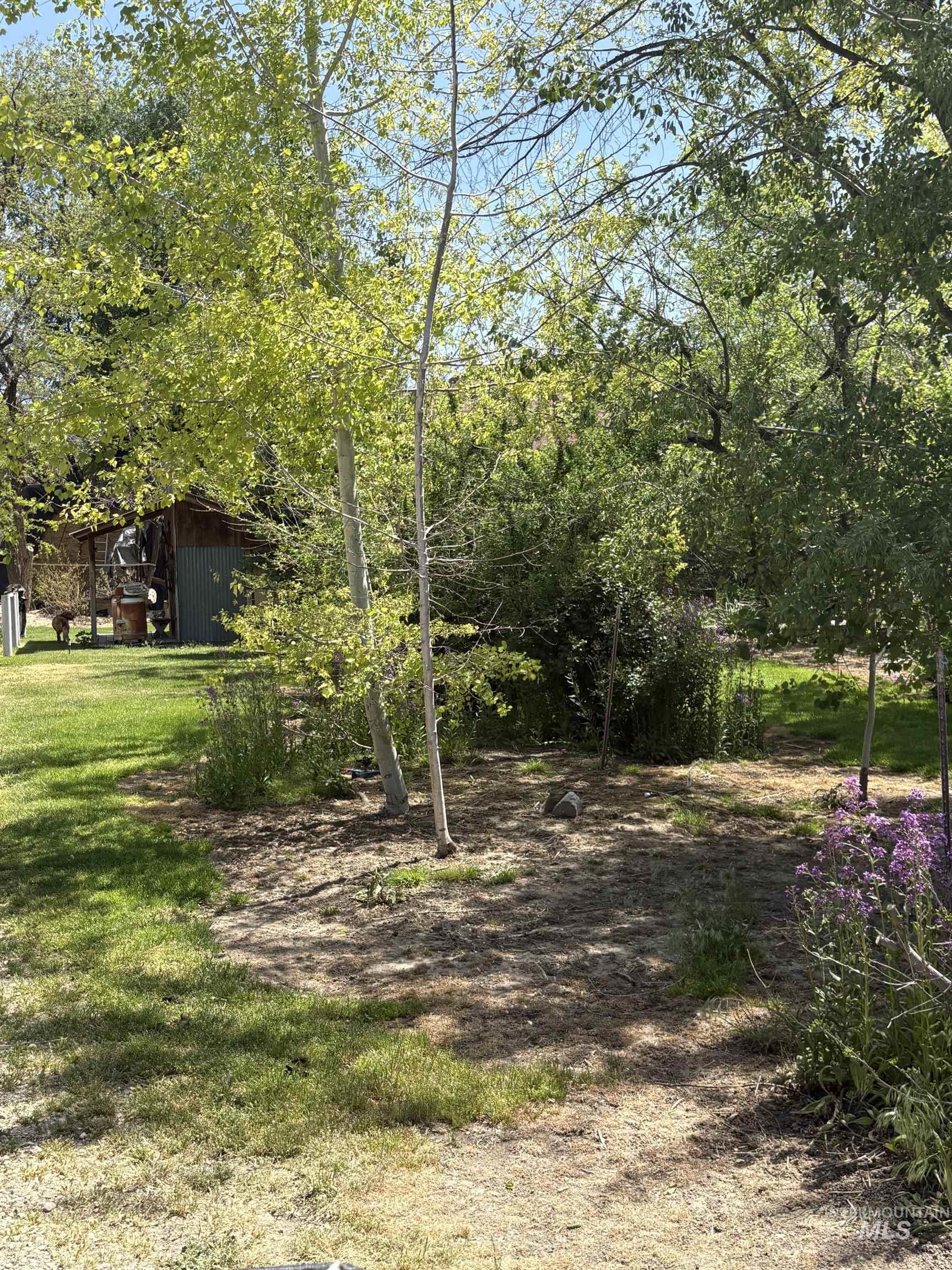 8241 Butte, Melba, Idaho 83641, 3 Bedrooms, 2 Bathrooms, Residential For Sale, Price $764,900, 98976354