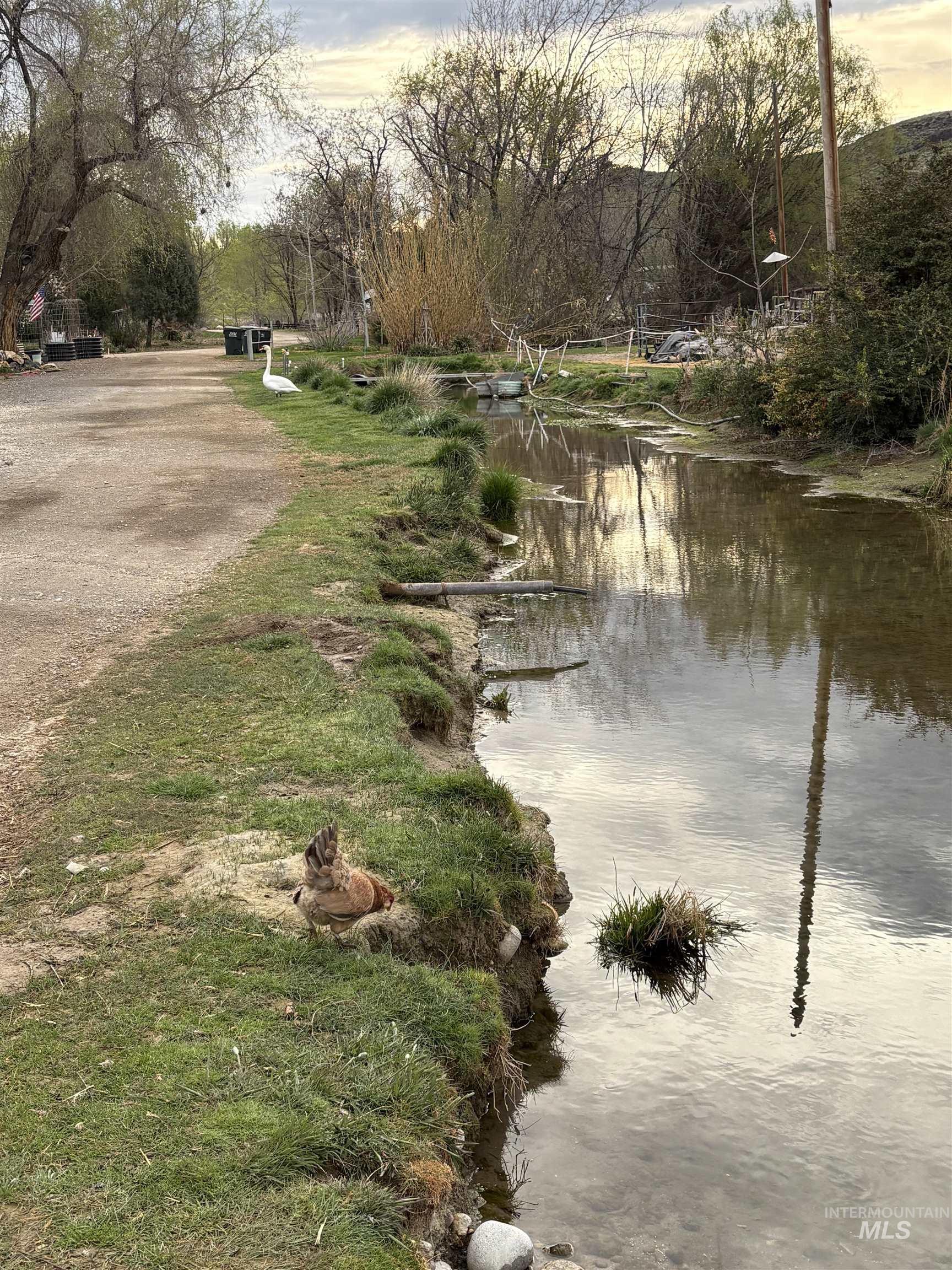 8241 Butte, Melba, Idaho 83641, 3 Bedrooms, 2 Bathrooms, Residential For Sale, Price $799,900,MLS 98976354