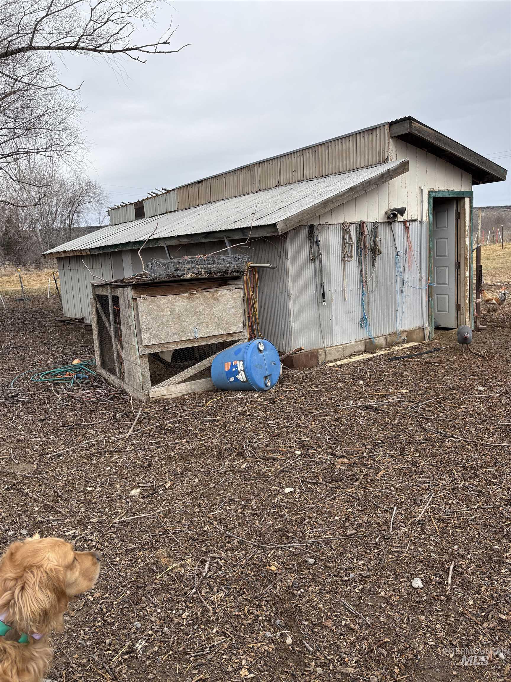 8241 Butte, Melba, Idaho 83641, 3 Bedrooms, 2 Bathrooms, Residential For Sale, Price $799,900,MLS 98976354