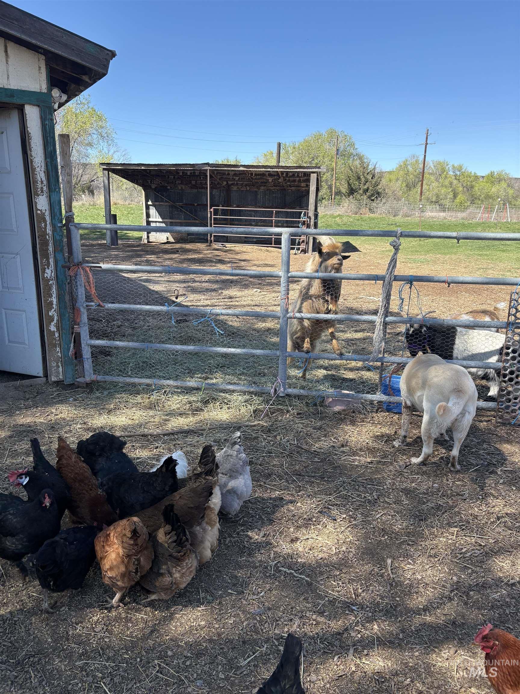 8241 Butte, Melba, Idaho 83641, 3 Bedrooms, 2 Bathrooms, Residential For Sale, Price $799,900,MLS 98976354