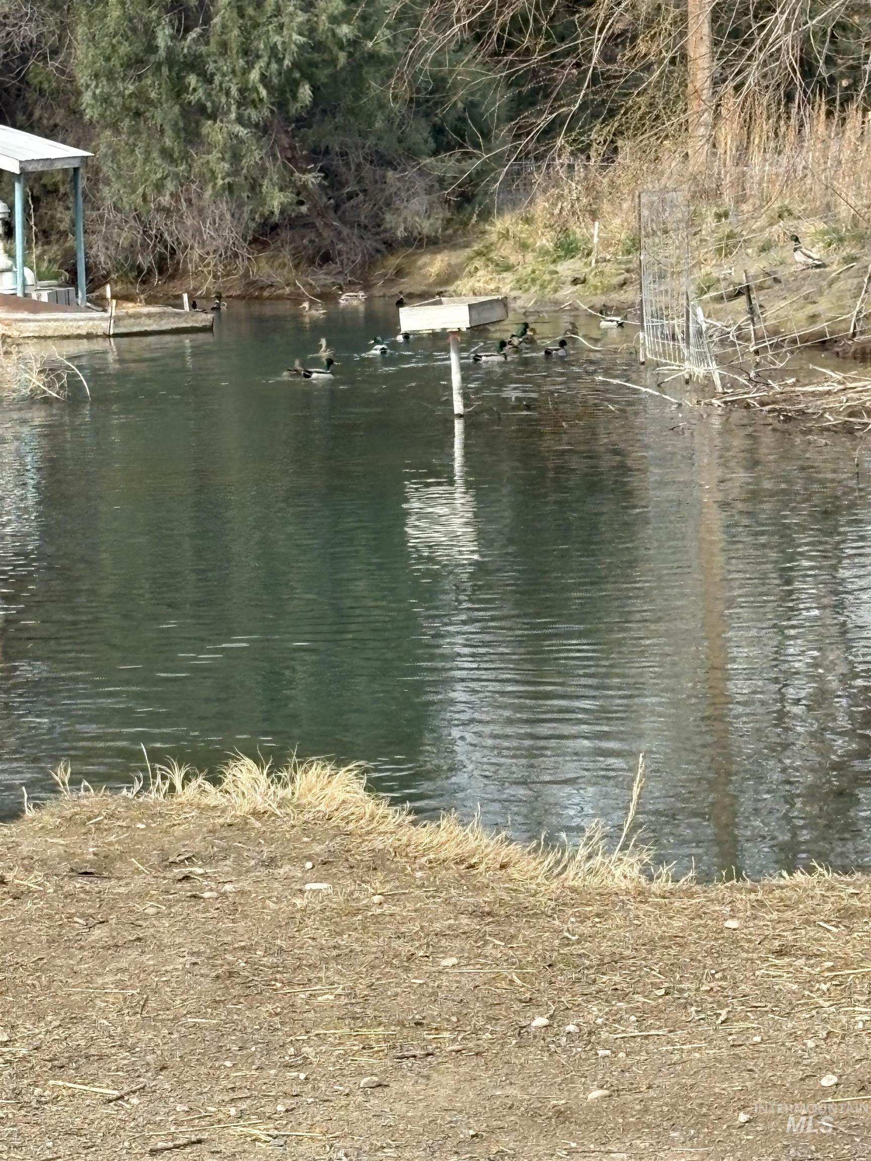 8241 Butte, Melba, Idaho 83641, 3 Bedrooms, 2 Bathrooms, Residential For Sale, Price $799,900,MLS 98976354