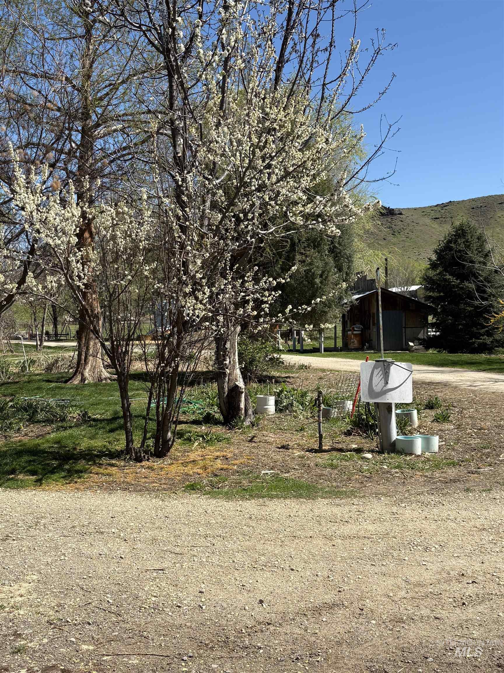 8241 Butte, Melba, Idaho 83641, 3 Bedrooms, 2 Bathrooms, Residential For Sale, Price $799,900,MLS 98976354