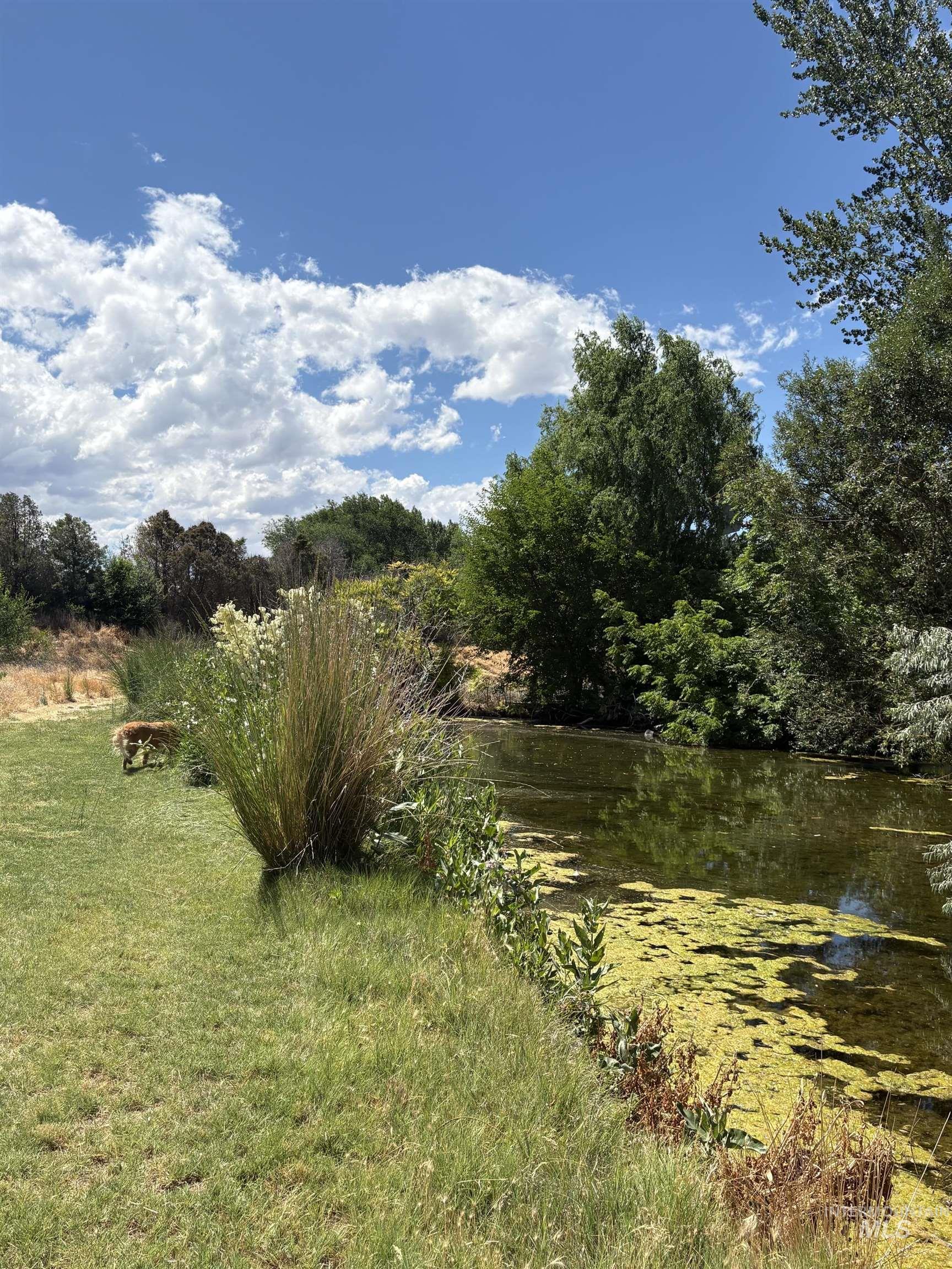 8241 Butte, Melba, Idaho 83641, 3 Bedrooms, 2 Bathrooms, Residential For Sale, Price $759,900,MLS 98976354