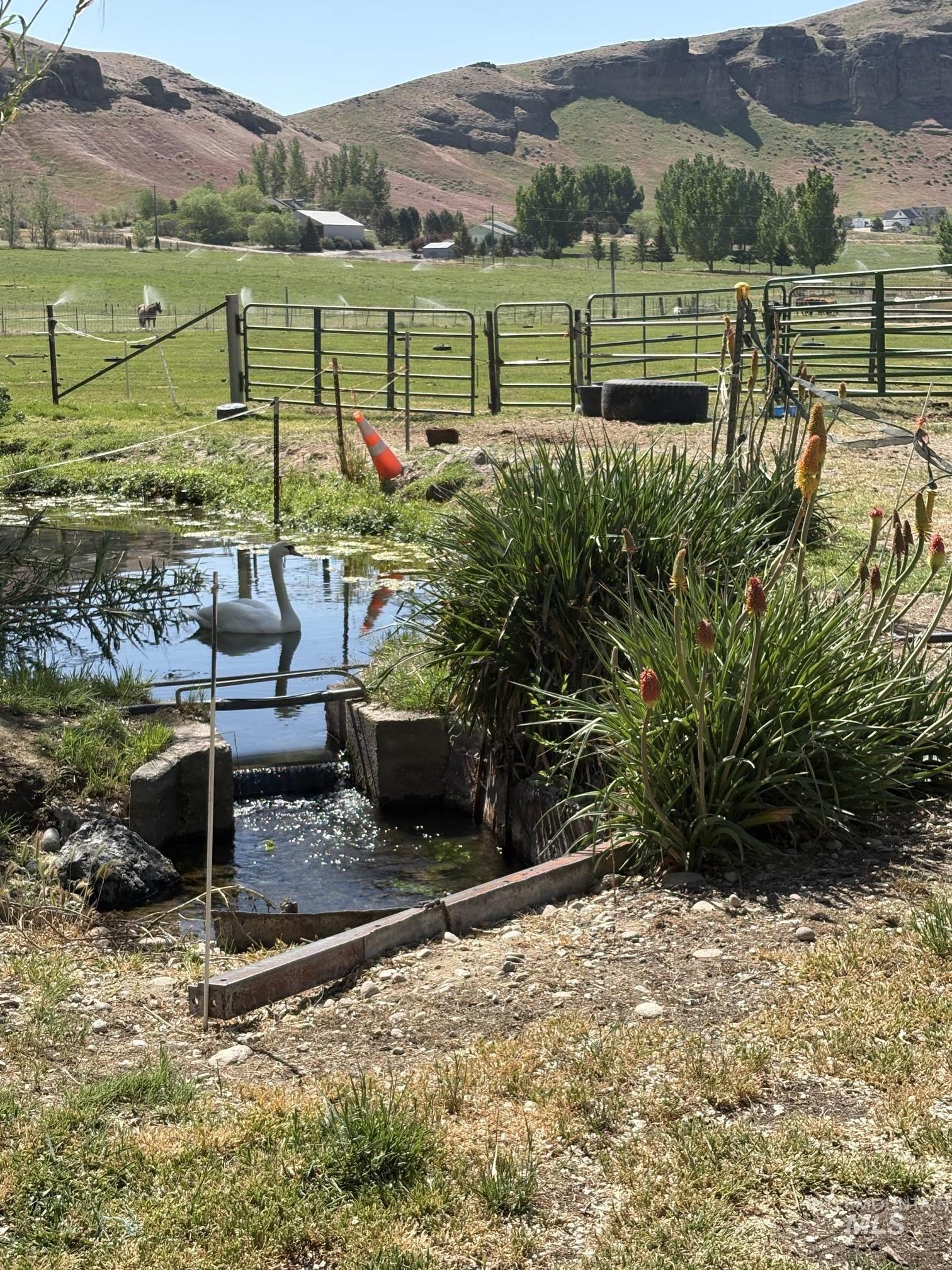 8241 Butte, Melba, Idaho 83641, 3 Bedrooms, 2 Bathrooms, Residential For Sale, Price $764,900, 98976354