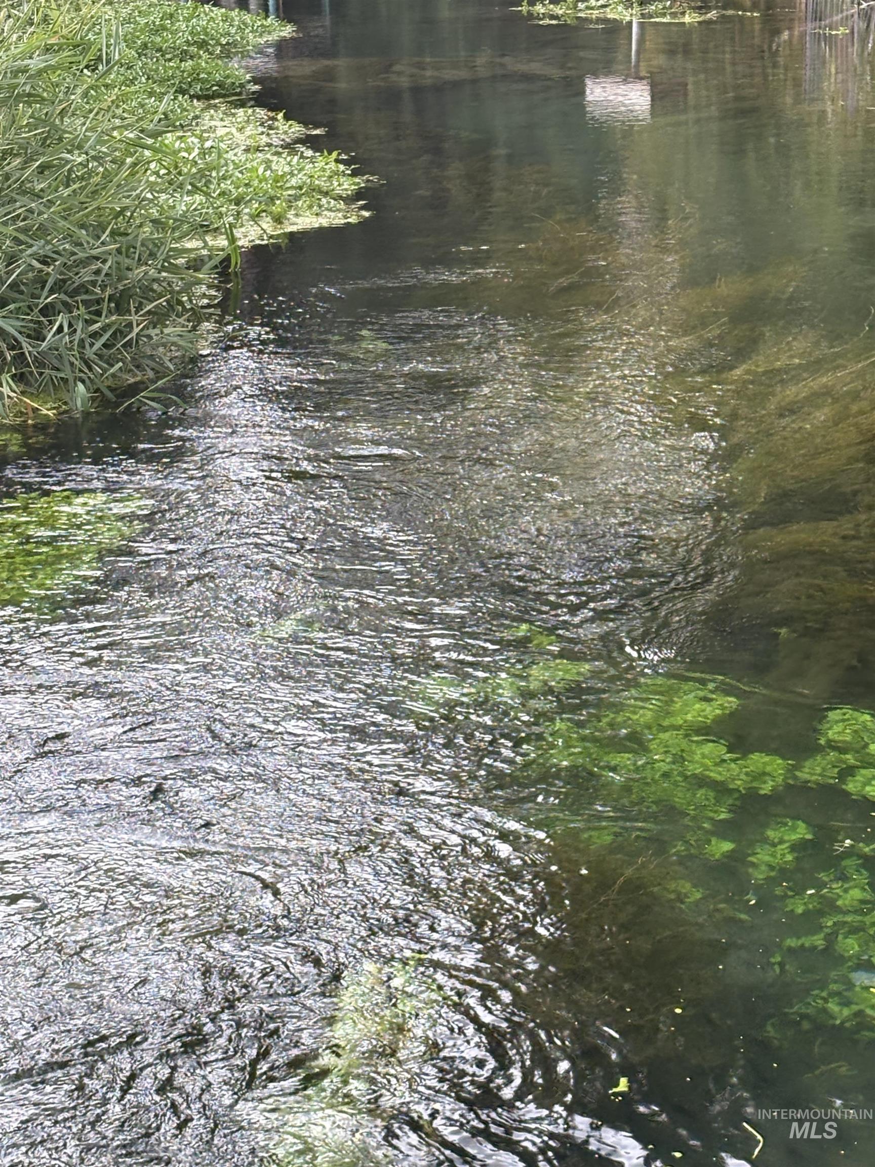 8241 Butte, Melba, Idaho 83641, 3 Bedrooms, 2 Bathrooms, Residential For Sale, Price $799,900,MLS 98976354