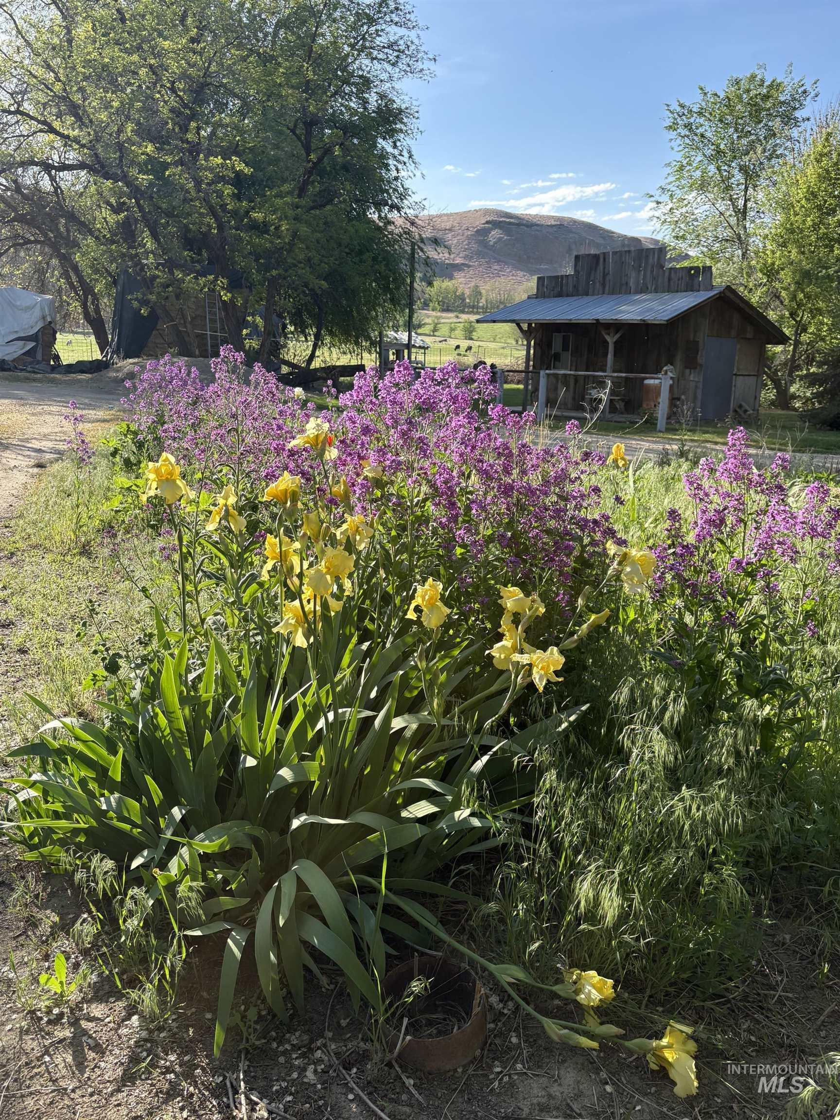 8241 Butte, Melba, Idaho 83641, 3 Bedrooms, 2 Bathrooms, Residential For Sale, Price $764,900, 98976354