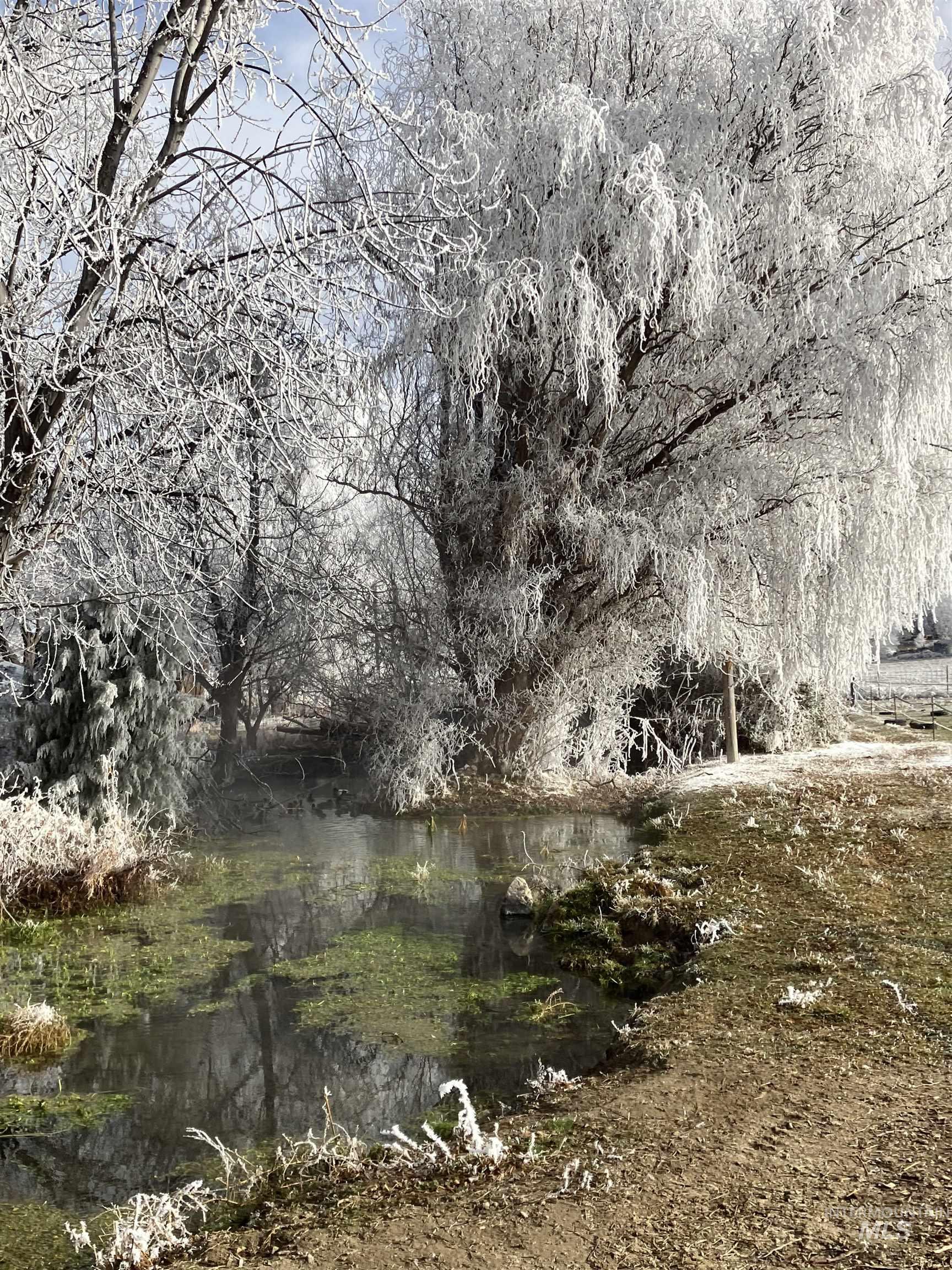 8241 Butte, Melba, Idaho 83641, 3 Bedrooms, 2 Bathrooms, Residential For Sale, Price $925,000, 98976354