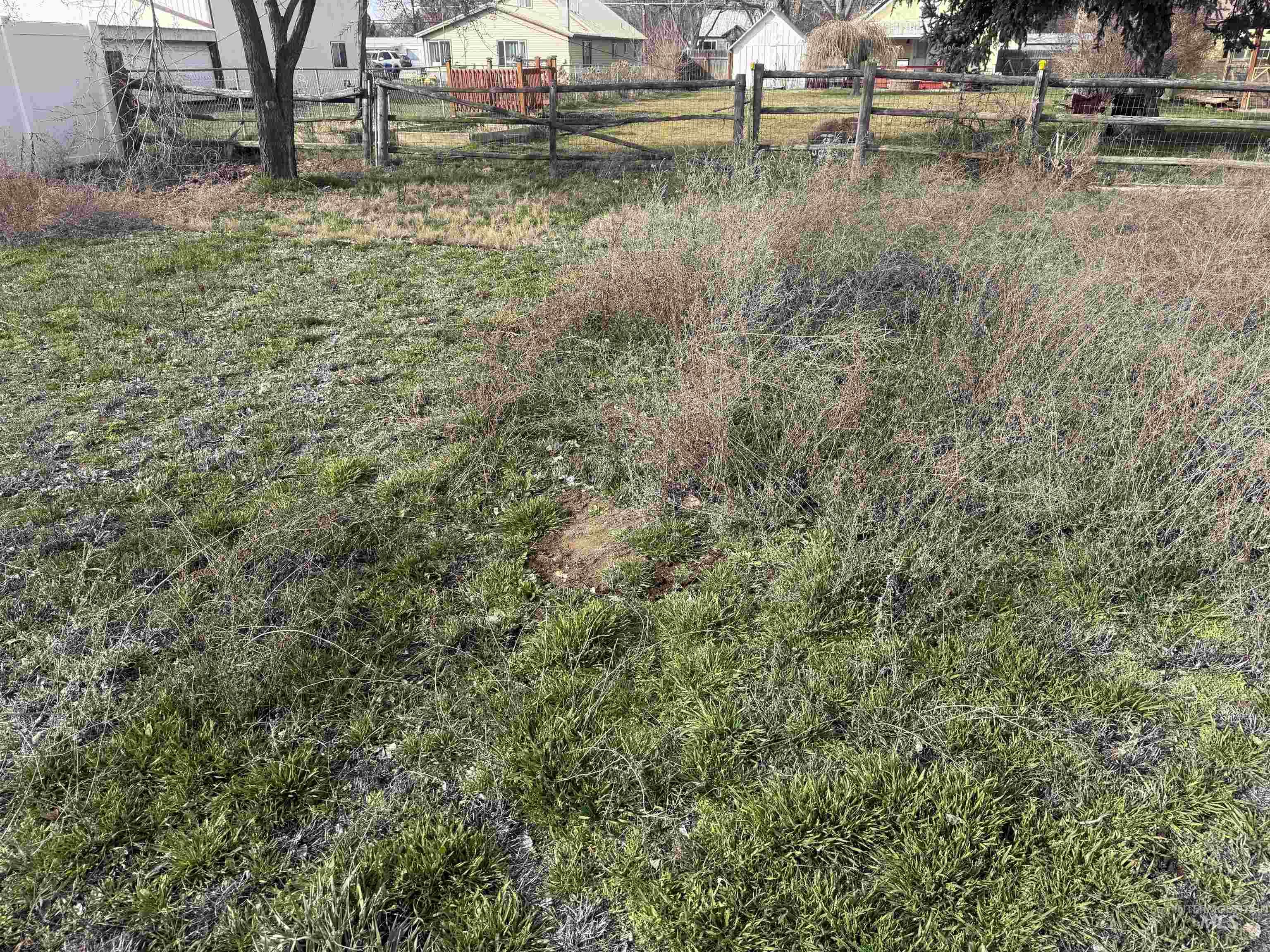 TBD S 14th Street, Payette, Idaho 83661, Land For Sale, Price $255,000,MLS 98976374