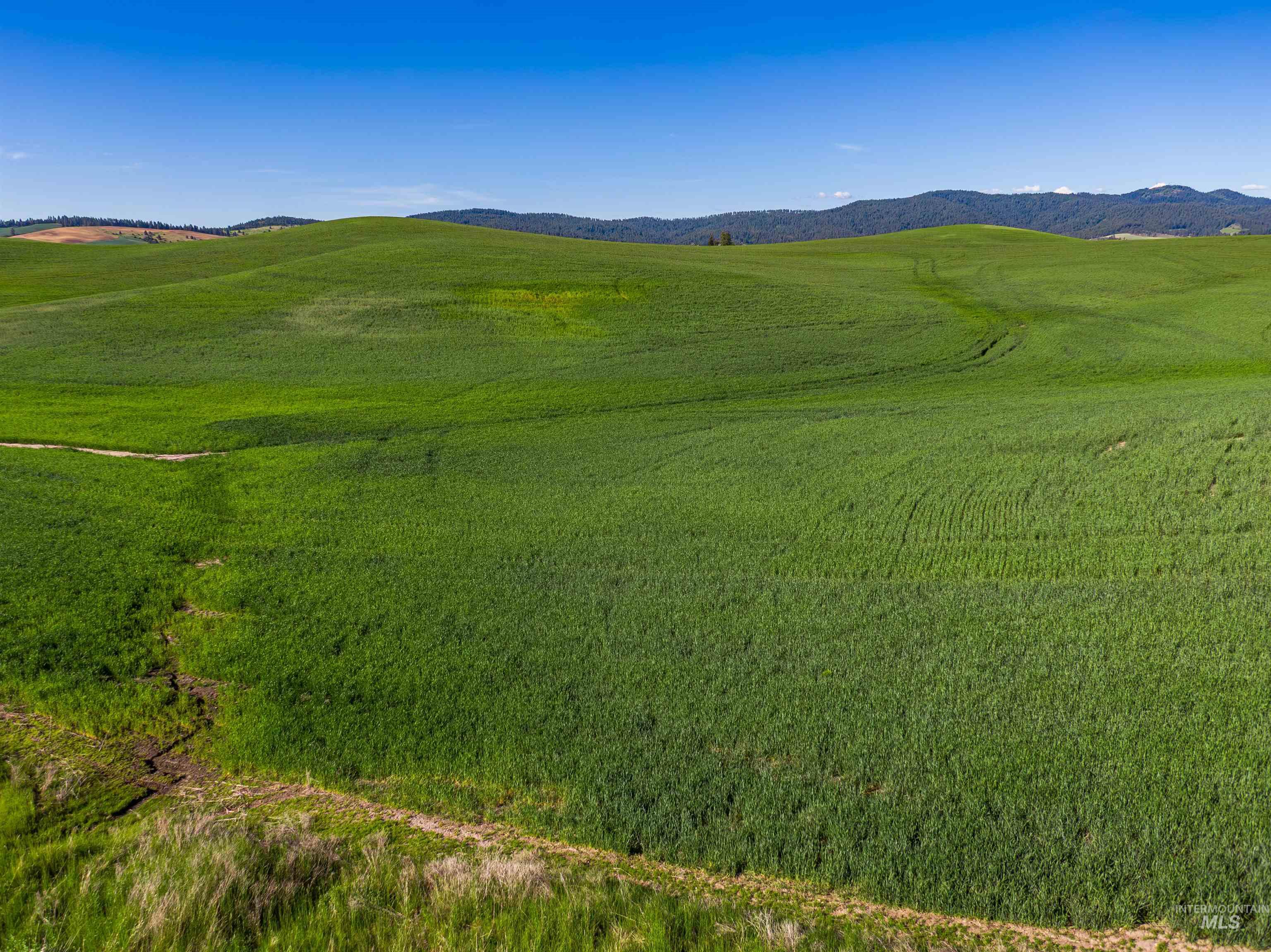 TBD/000 Mix Road, Moscow, Idaho 83843, Land For Sale, Price $749,000,MLS 98976400