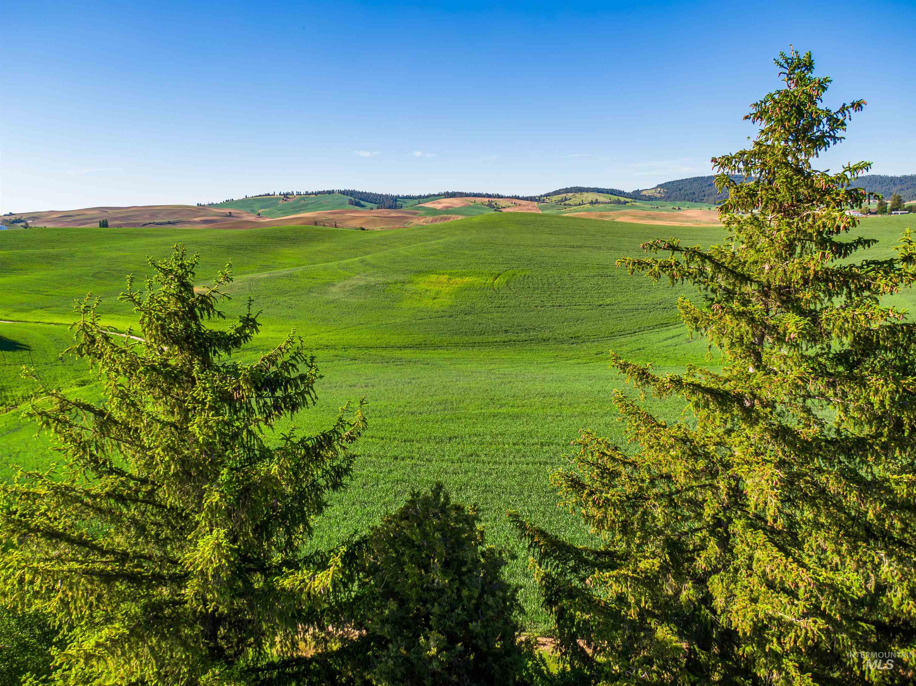 TBD/000 Mix Road, Moscow, Idaho 83843, Land For Sale, Price $749,000,MLS 98976400