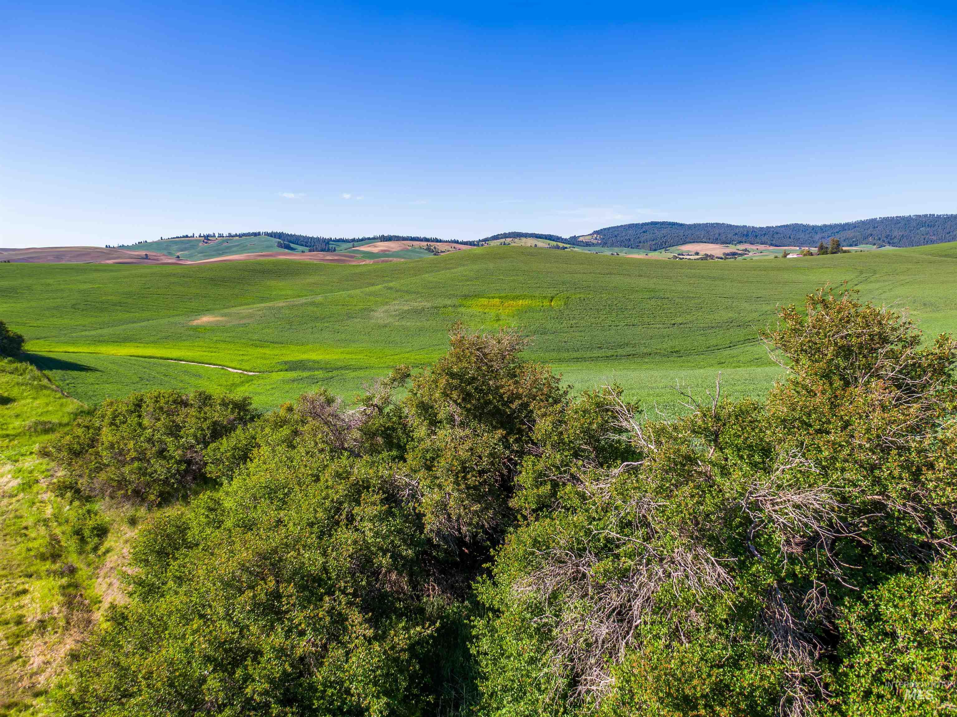 TBD/000 Mix Road, Moscow, Idaho 83843, Land For Sale, Price $749,000,MLS 98976400