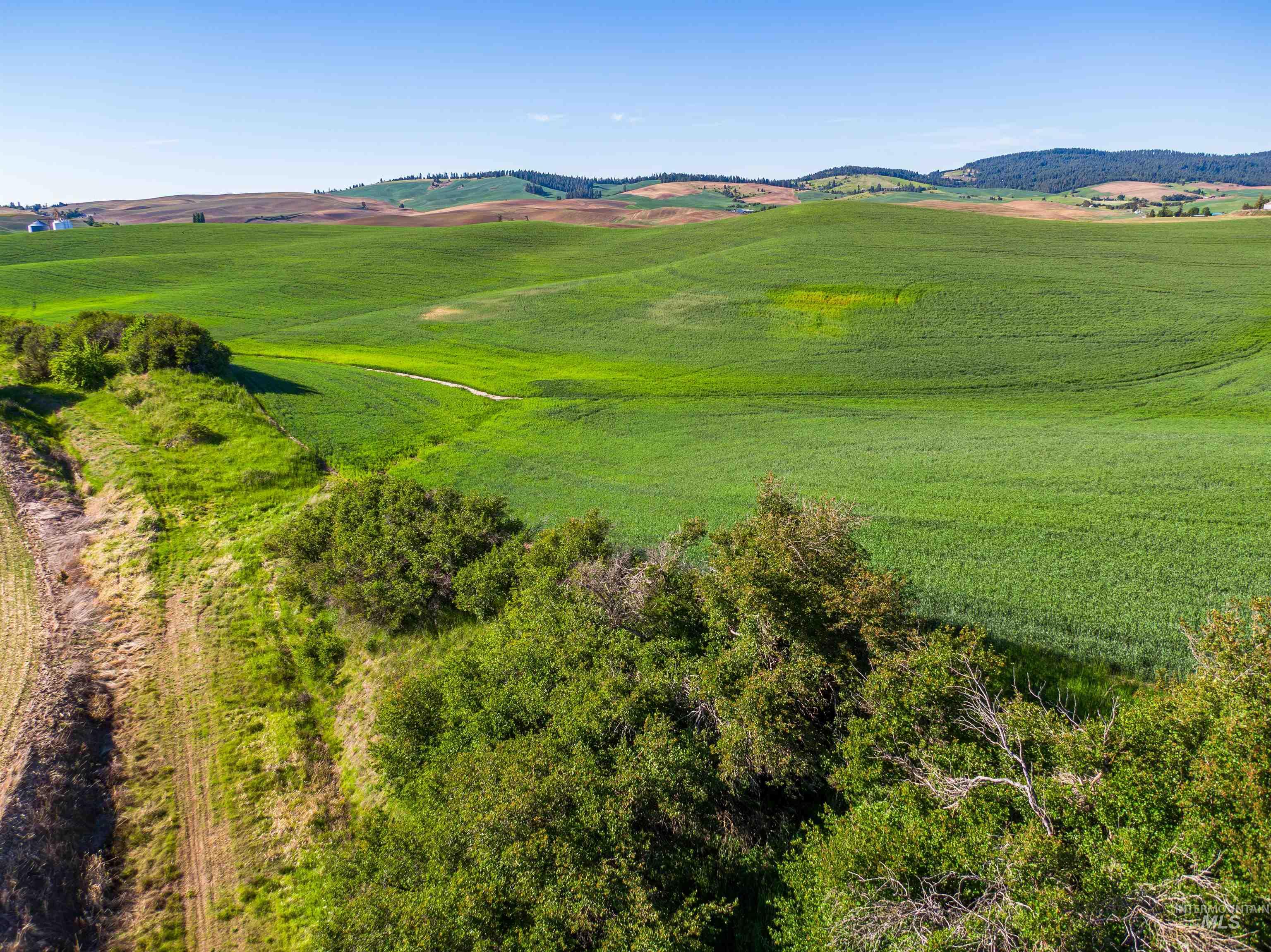 TBD/000 Mix Road, Moscow, Idaho 83843, Land For Sale, Price $749,000,MLS 98976400