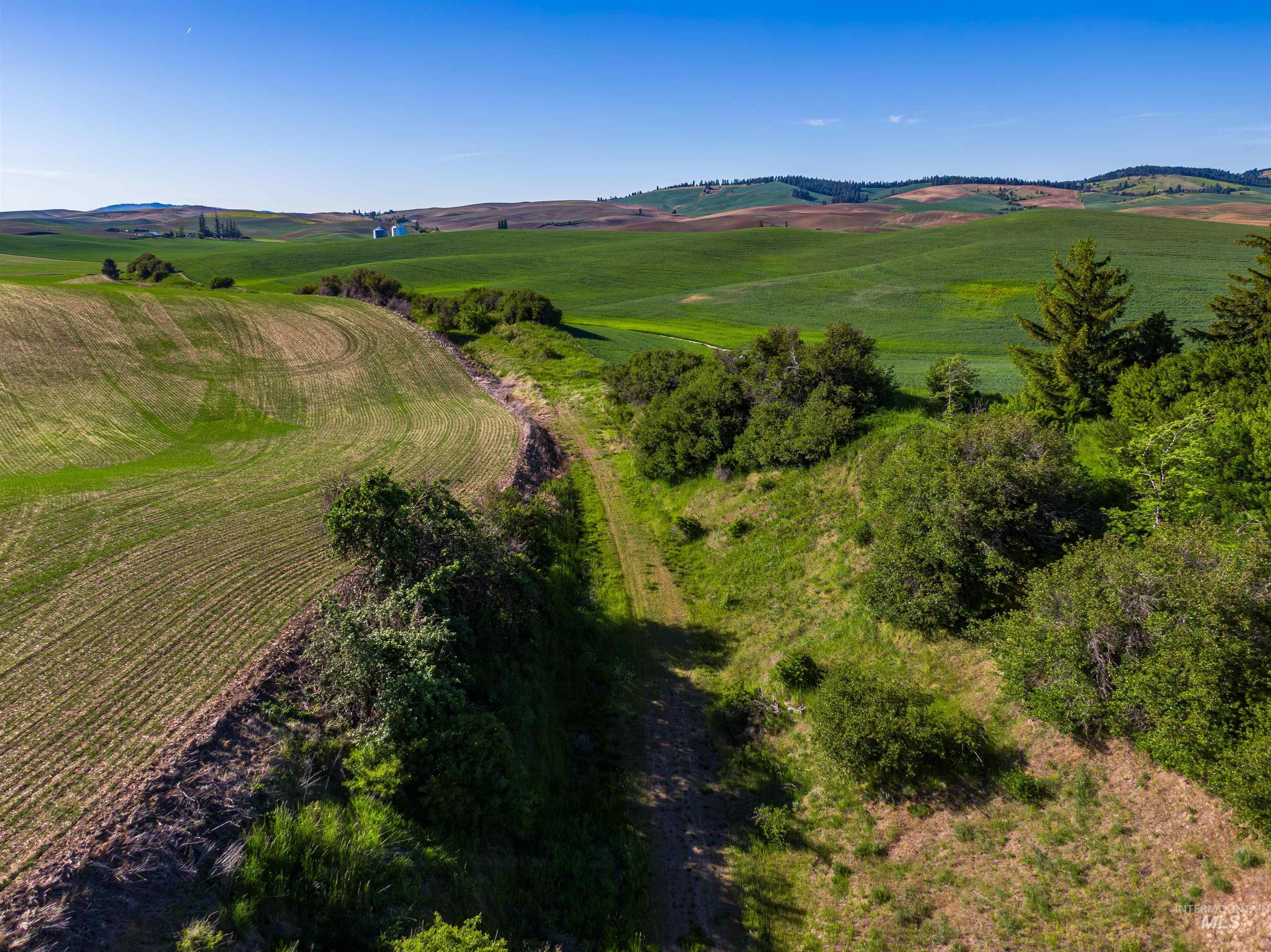 TBD/000 Mix Road, Moscow, Idaho 83843, Land For Sale, Price $749,000,MLS 98976400
