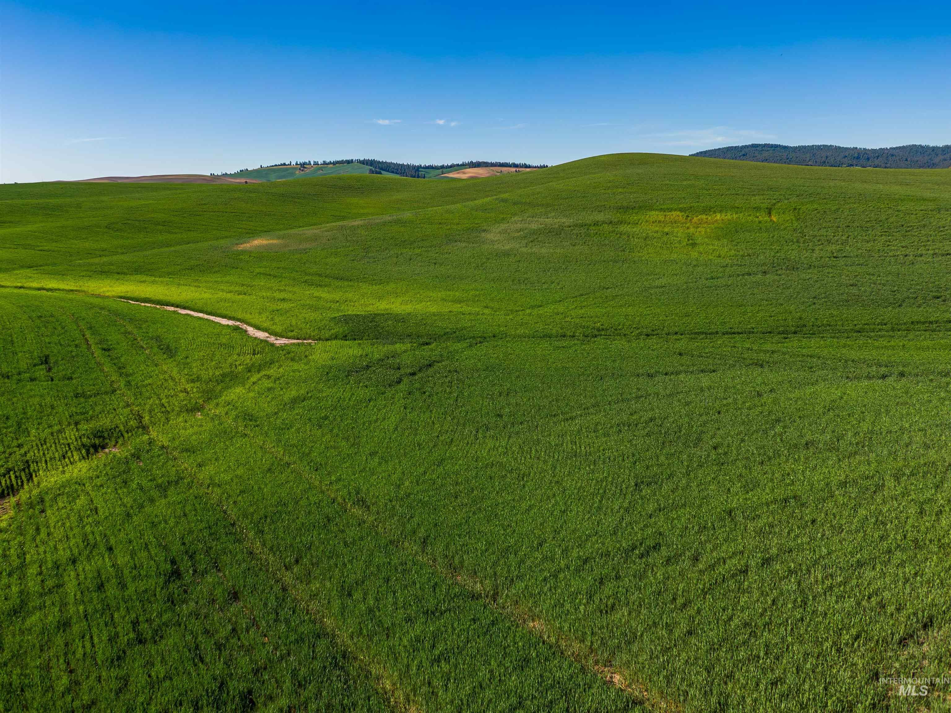 TBD/000 Mix Road, Moscow, Idaho 83843, Land For Sale, Price $749,000,MLS 98976400