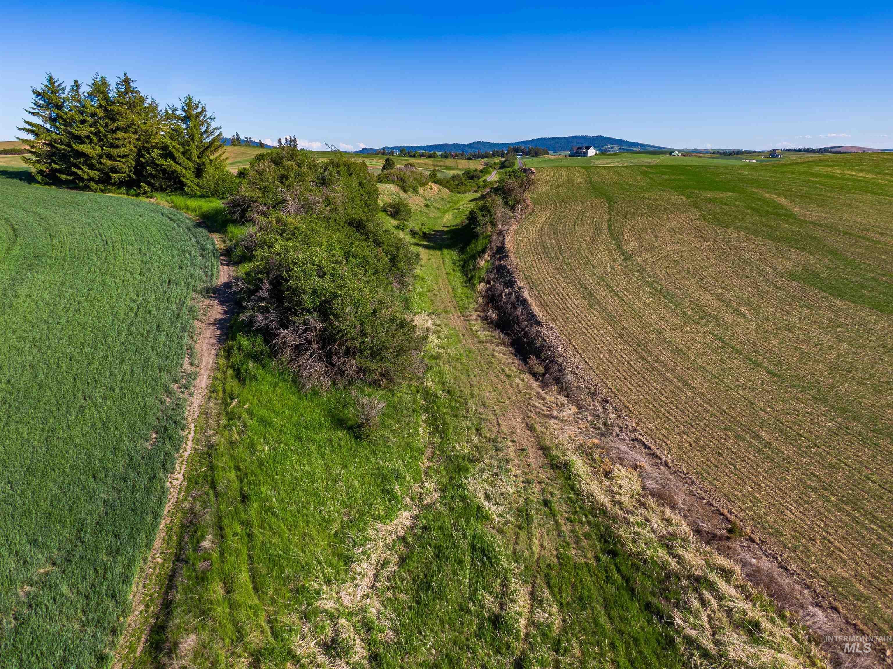 TBD/000 Mix Road, Moscow, Idaho 83843, Land For Sale, Price $749,000,MLS 98976400