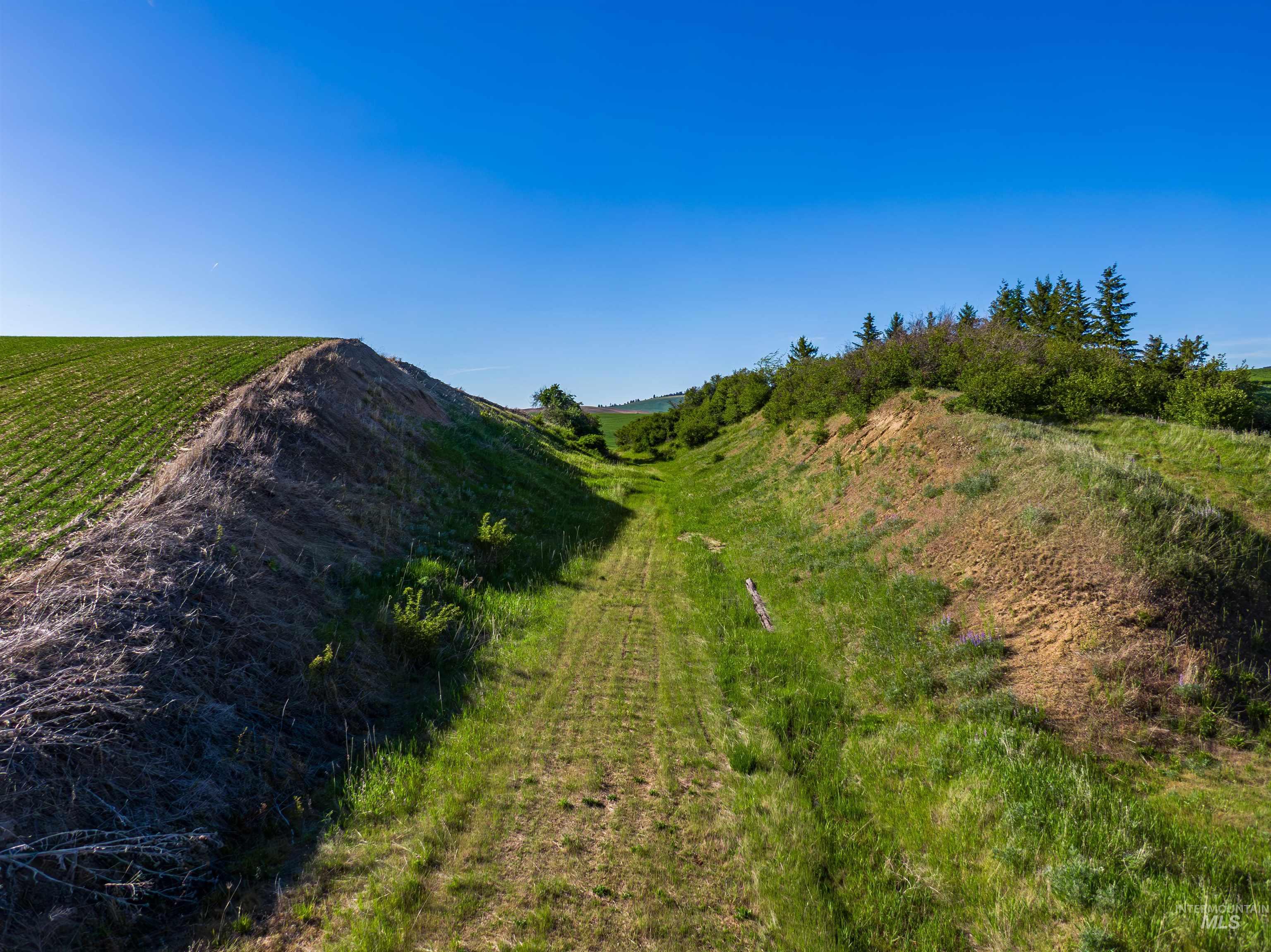 TBD/000 Mix Road, Moscow, Idaho 83843, Land For Sale, Price $749,000,MLS 98976400