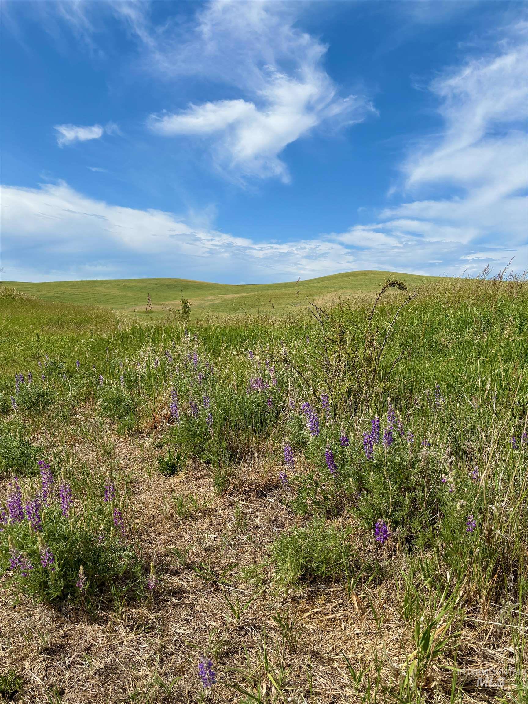 TBD/000 Mix Road, Moscow, Idaho 83843, Land For Sale, Price $749,000,MLS 98976400