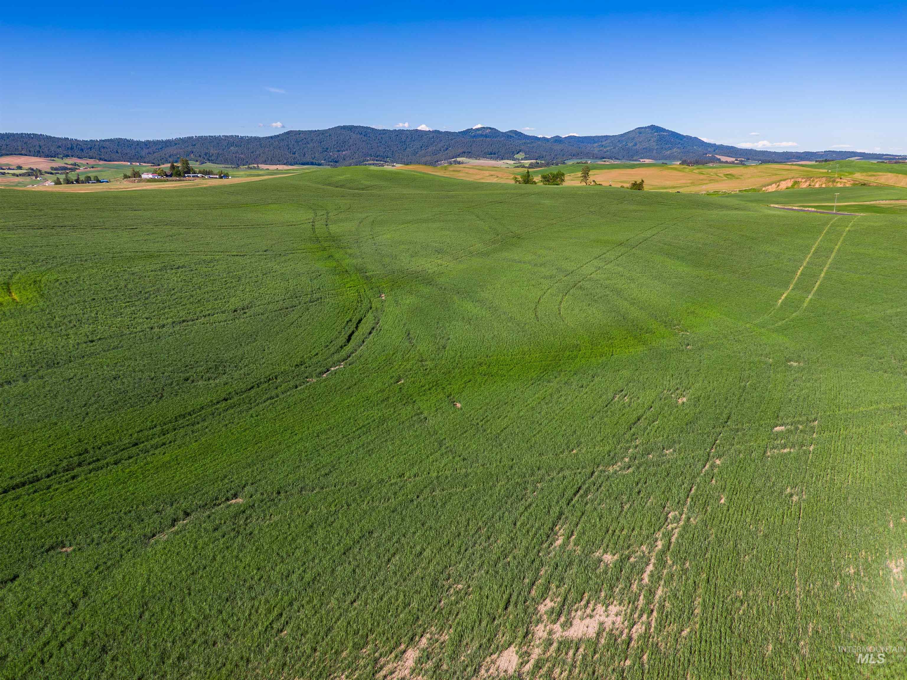TBD/000 Mix Road, Moscow, Idaho 83843, Land For Sale, Price $749,000,MLS 98976400