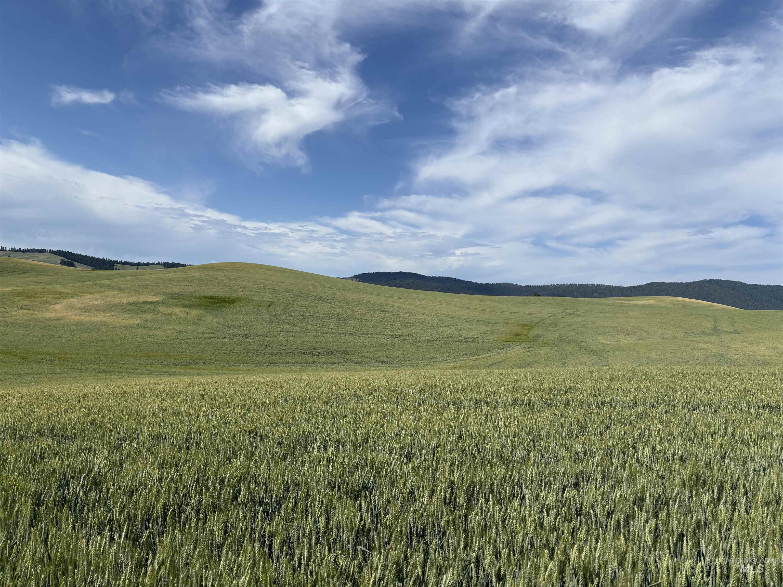 TBD/000 Mix Road, Moscow, Idaho 83843, Land For Sale, Price $749,000,MLS 98976400