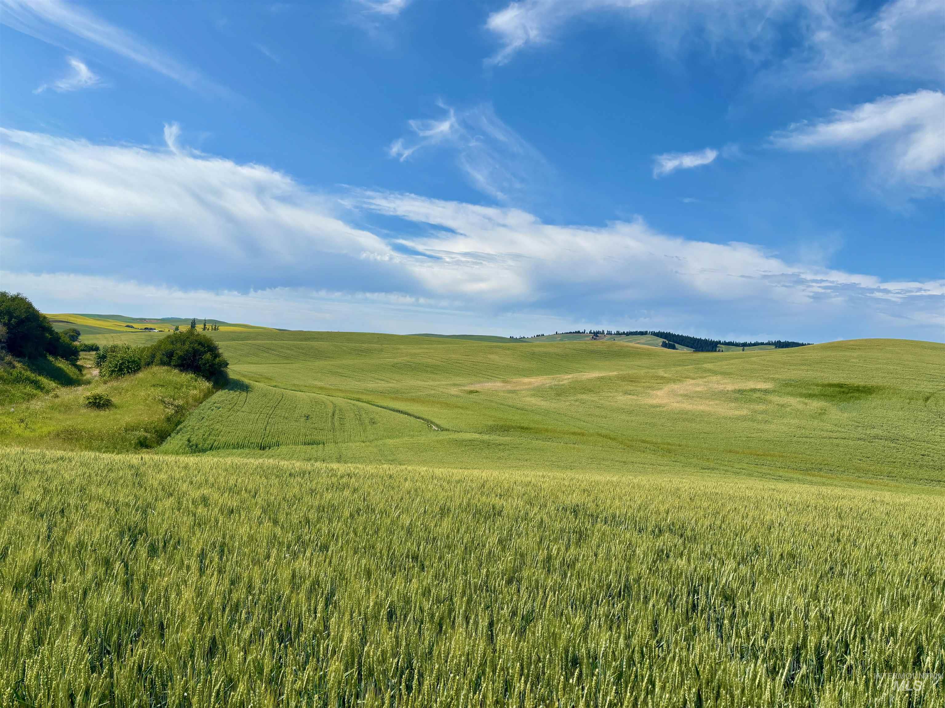 TBD/000 Mix Road, Moscow, Idaho 83843, Land For Sale, Price $749,000,MLS 98976400