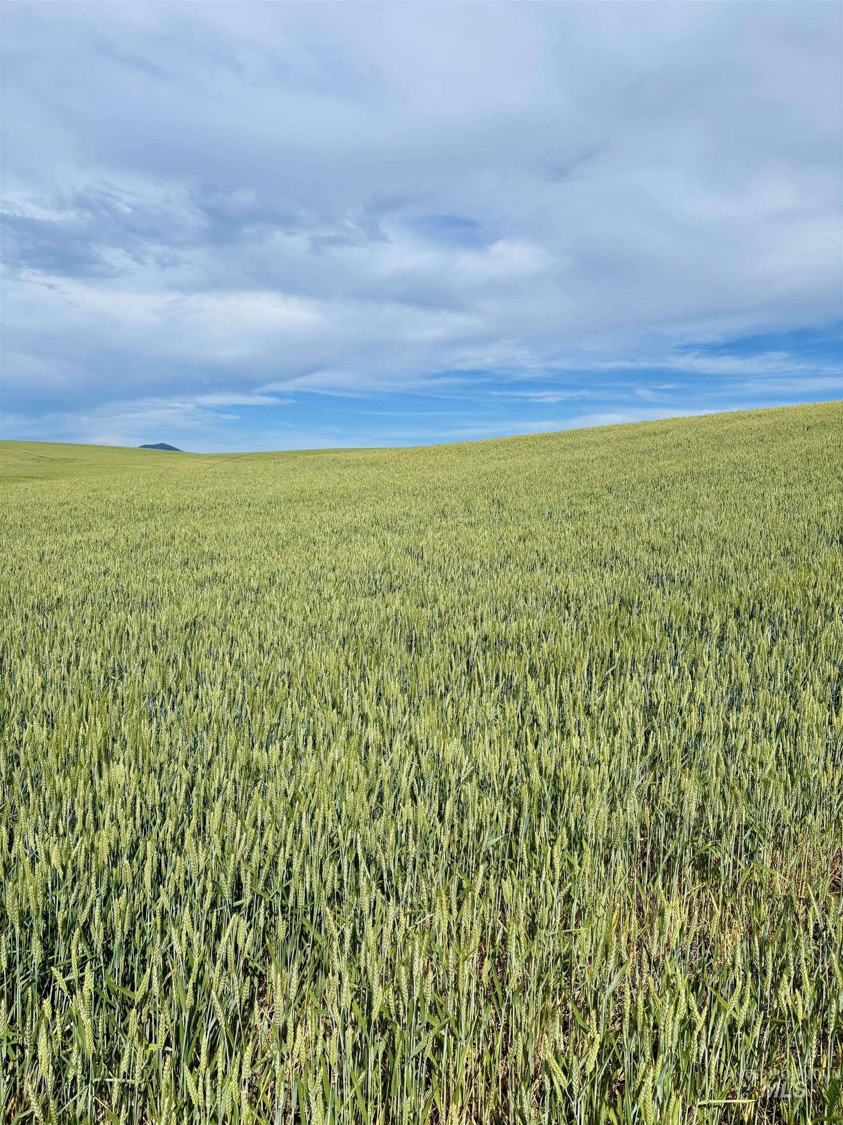 TBD/000 Mix Road, Moscow, Idaho 83843, Land For Sale, Price $749,000,MLS 98976400