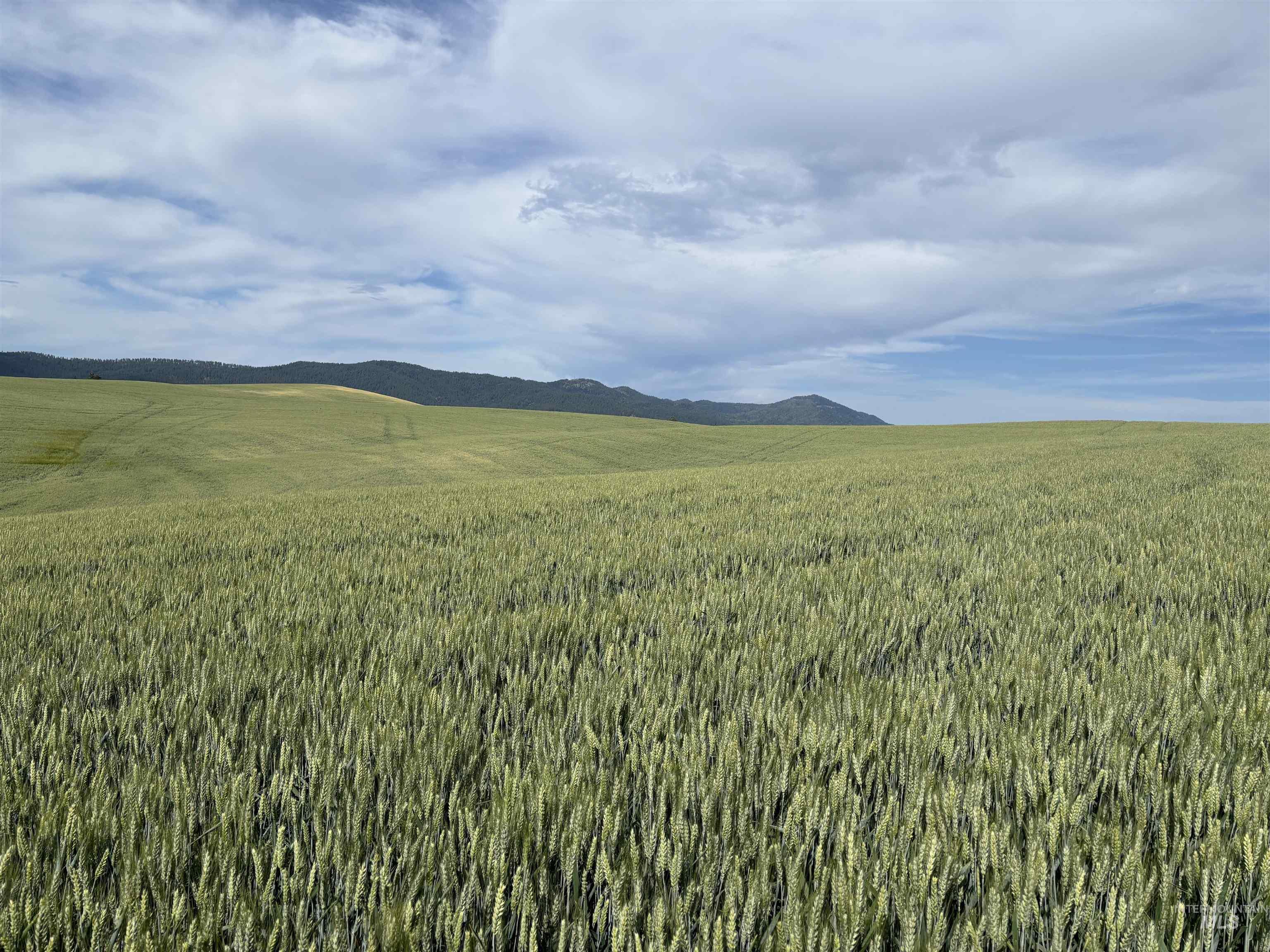 TBD/000 Mix Road, Moscow, Idaho 83843, Land For Sale, Price $749,000,MLS 98976400