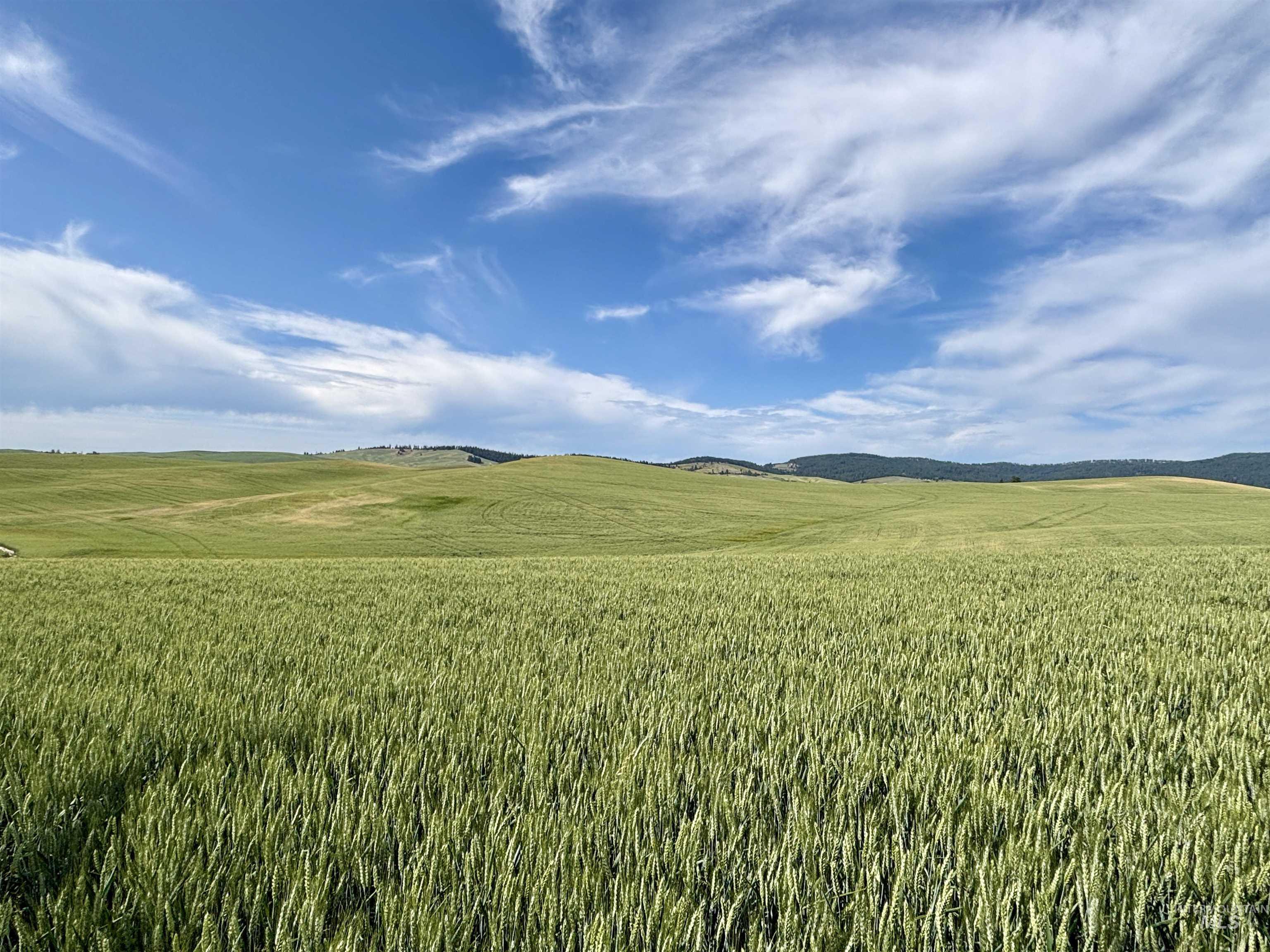 TBD/000 Mix Road, Moscow, Idaho 83843, Land For Sale, Price $749,000,MLS 98976400