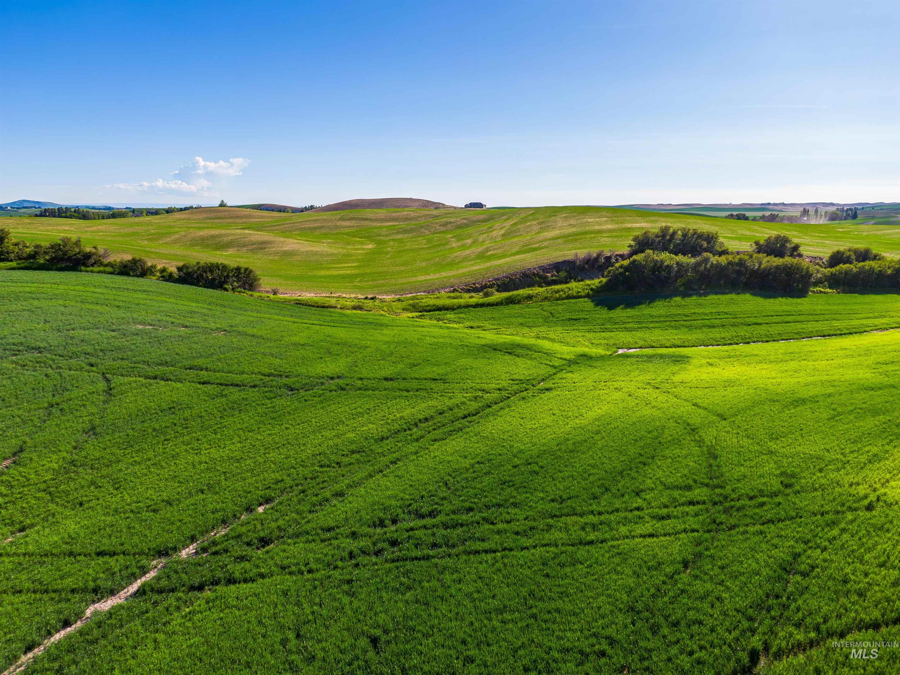 TBD/000 Mix Road, Moscow, Idaho 83843, Land For Sale, Price $749,000,MLS 98976400