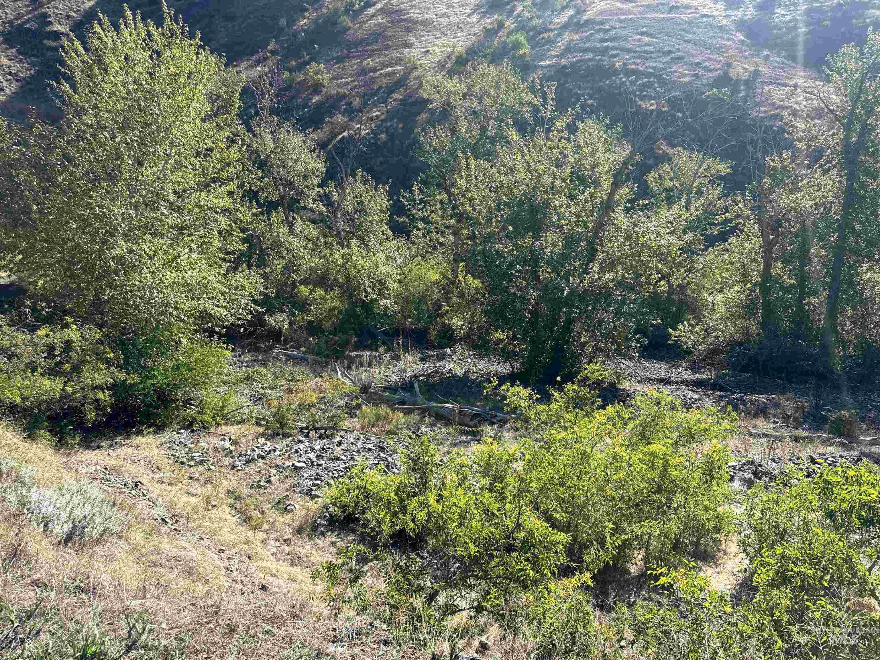 252 Wingfield Ln, White Bird, Idaho 83554, 3 Bedrooms, 2 Bathrooms, Residential For Sale, Price $899,900, 98976402