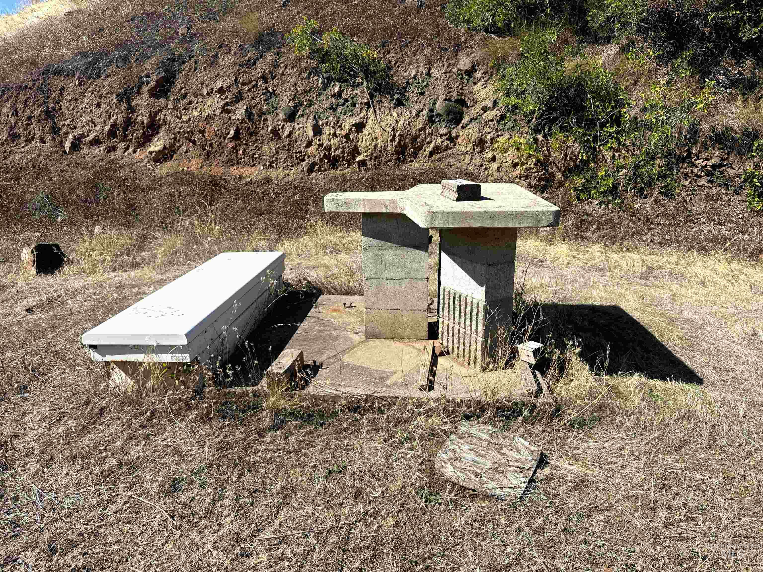 252 Wingfield Ln, White Bird, Idaho 83554, 3 Bedrooms, 2 Bathrooms, Residential For Sale, Price $899,900, 98976402