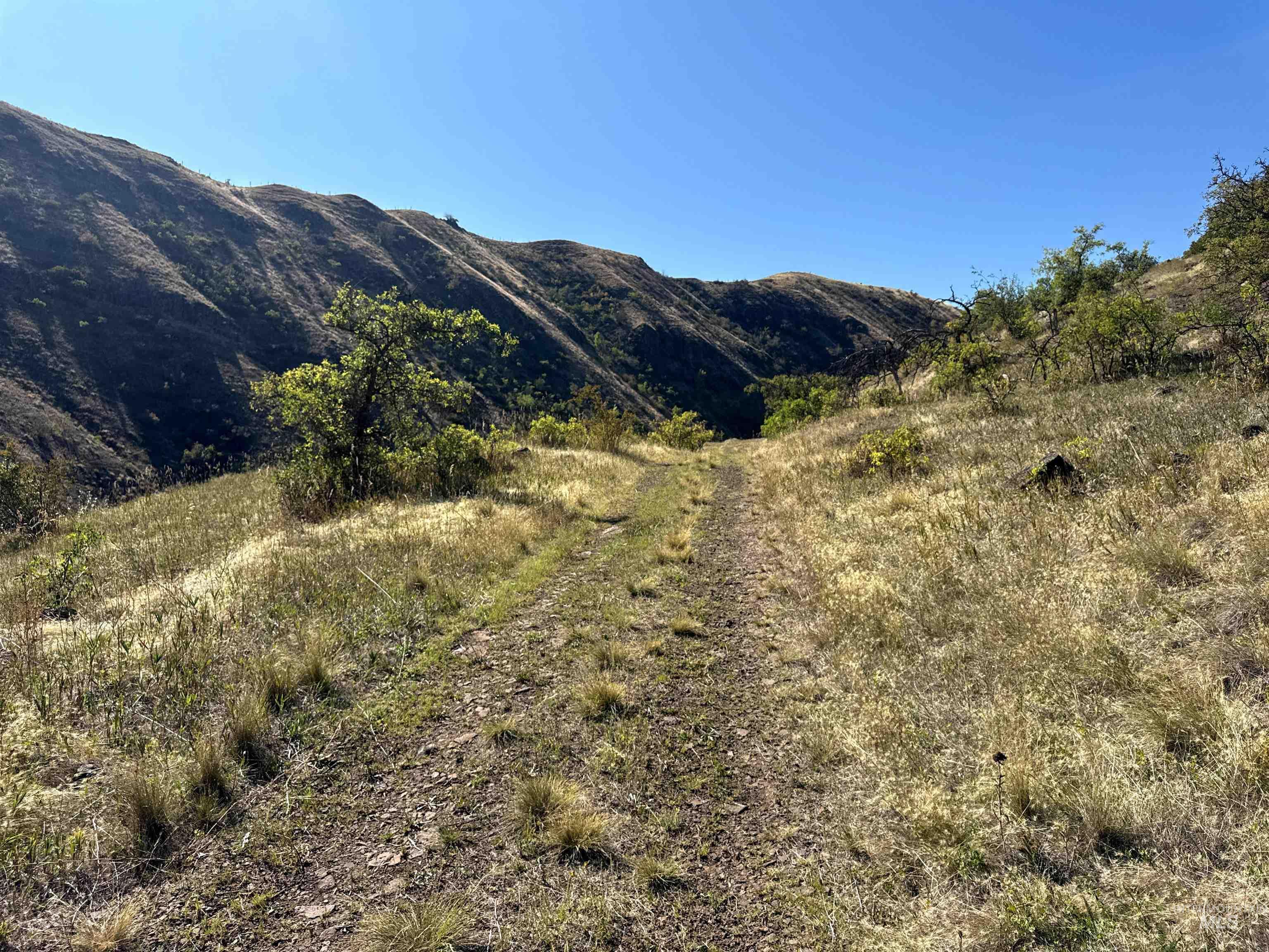 252 Wingfield Ln, White Bird, Idaho 83554, 3 Bedrooms, 2 Bathrooms, Residential For Sale, Price $899,900, 98976402