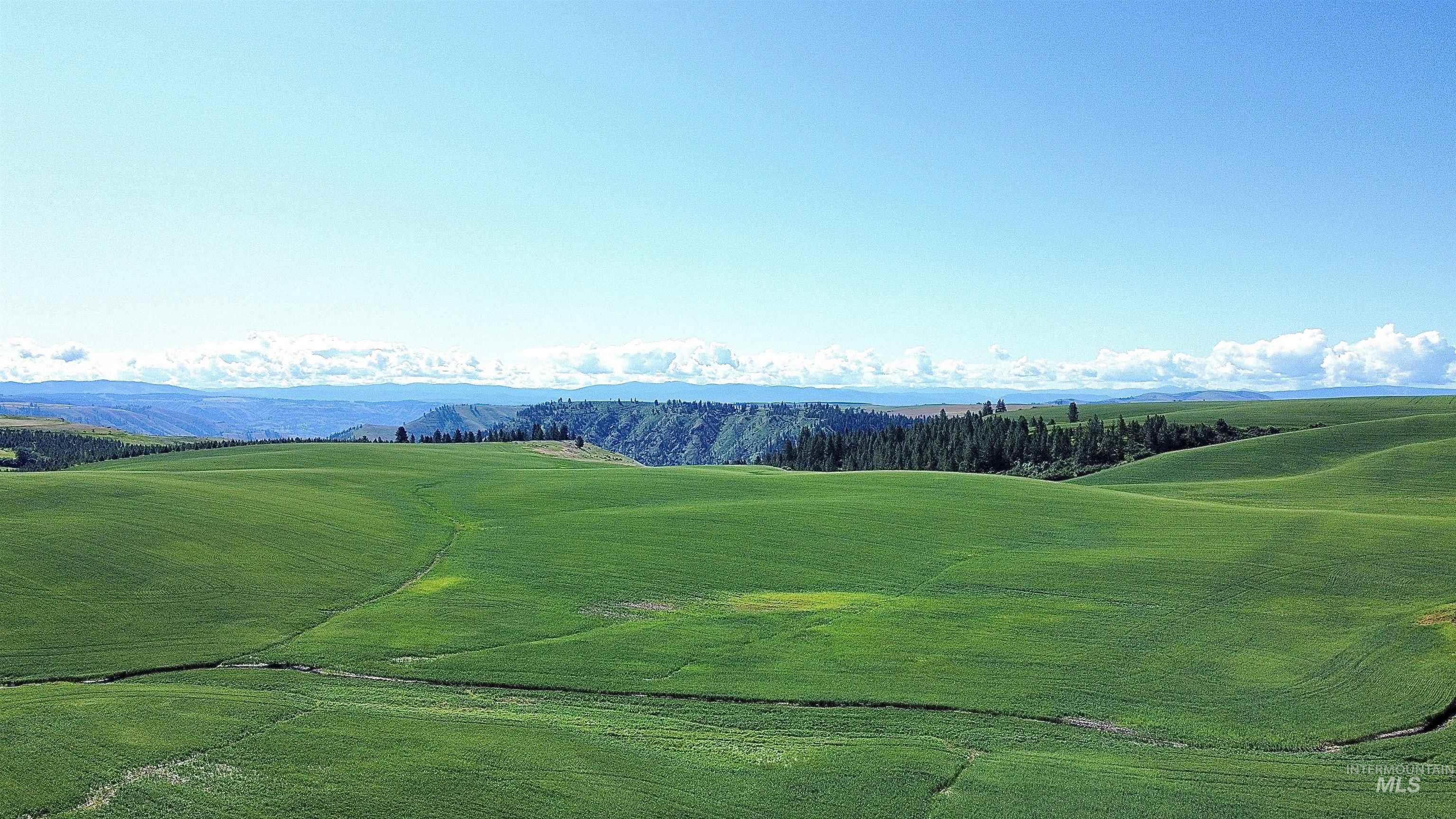 TBD Basket Rd Parcel 1, Nezperce, Idaho 83543, Land For Sale, Price $734,000,MLS 98976403