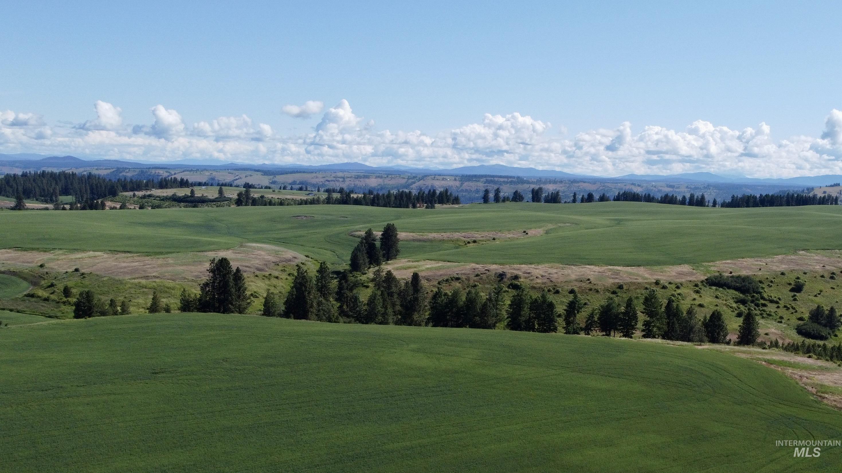 TBD Basket Rd Parcel 2, Nezperce, Idaho 83543, Land For Sale, Price $584,000,MLS 98976404