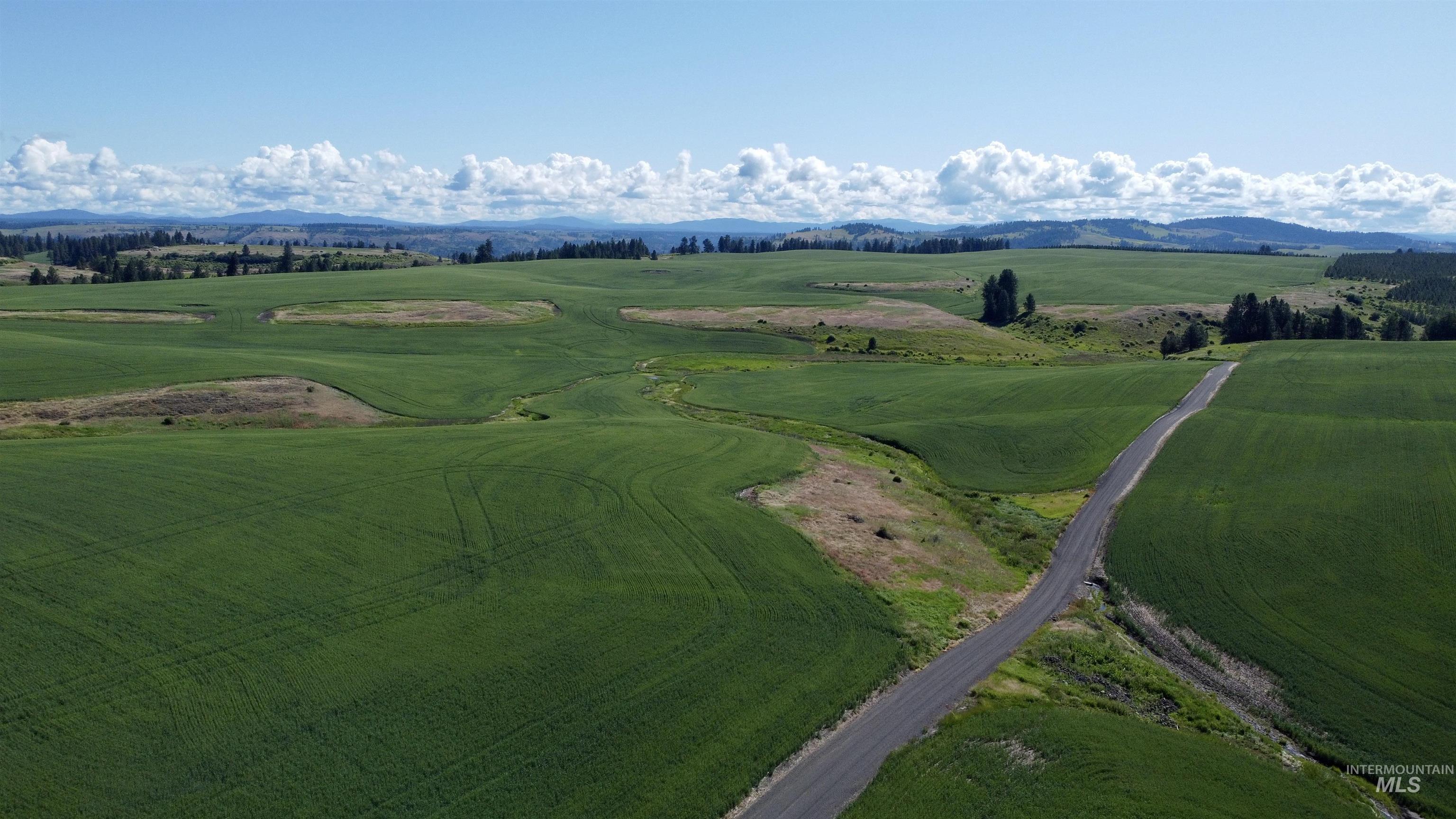 TBD Basket Rd Parcel 2, Nezperce, Idaho 83543, Land For Sale, Price $584,000,MLS 98976404