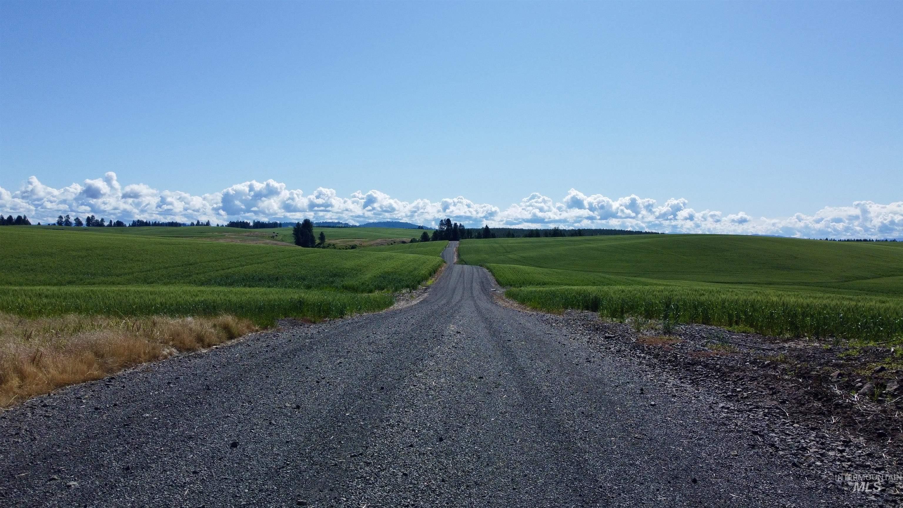 TBD Basket Rd Parcel 2, Nezperce, Idaho 83543, Land For Sale, Price $584,000,MLS 98976404