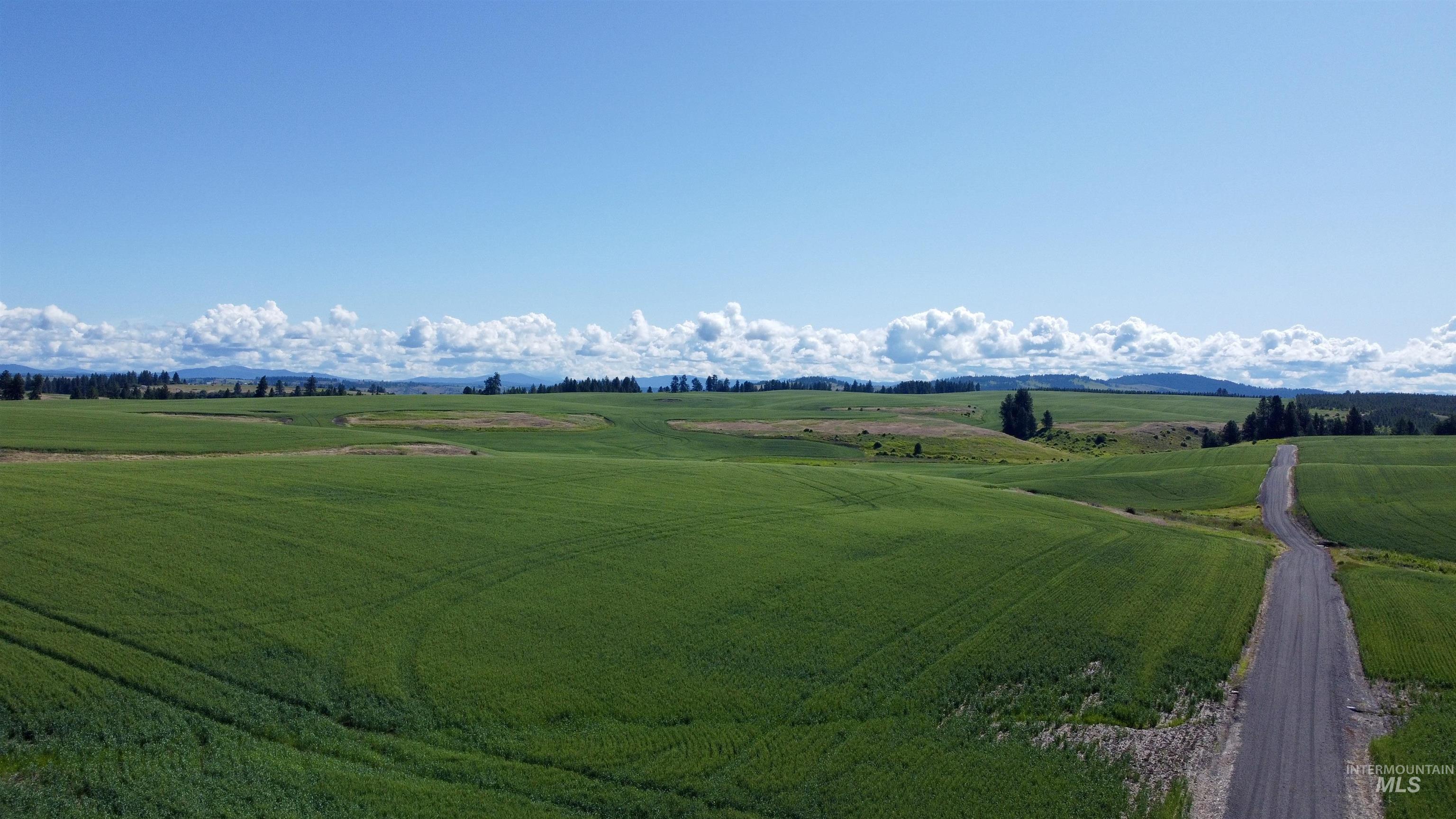 TBD Basket Rd Parcel 2, Nezperce, Idaho 83543, Land For Sale, Price $584,000,MLS 98976404