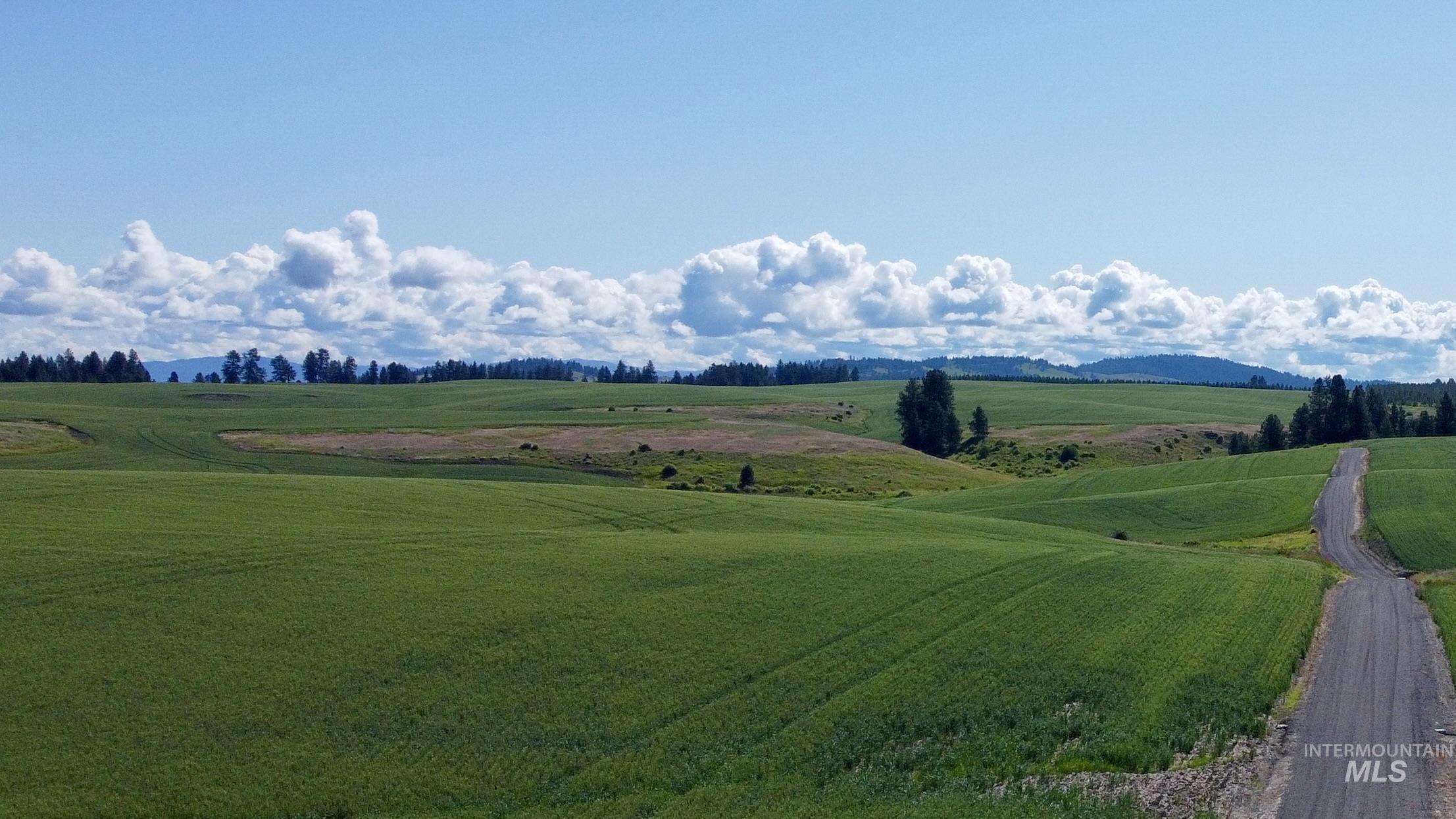 TBD Basket Rd Parcel 2, Nezperce, Idaho 83543, Land For Sale, Price $584,000,MLS 98976404