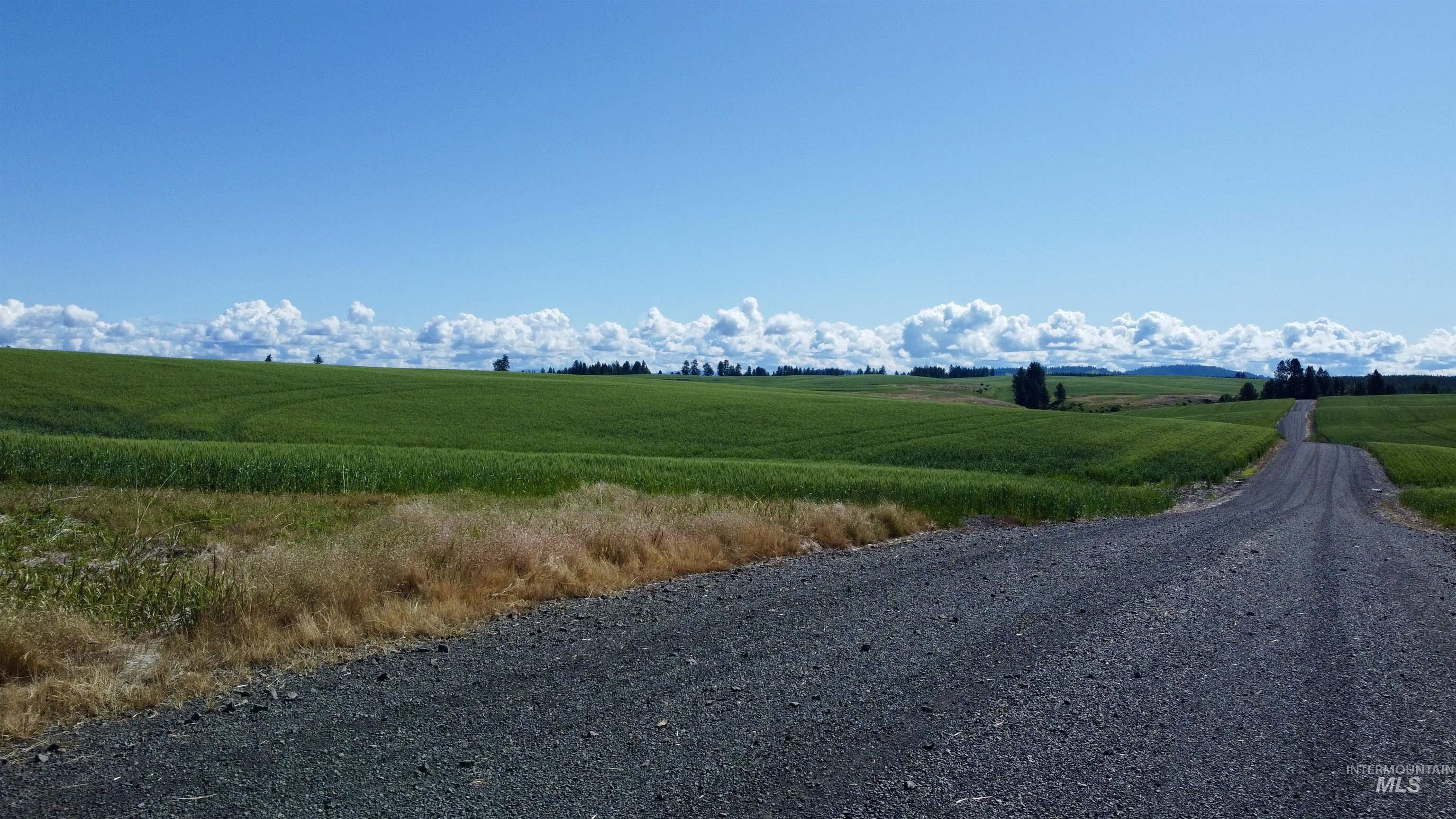 TBD Basket Rd Parcel 2, Nezperce, Idaho 83543, Land For Sale, Price $584,000,MLS 98976404