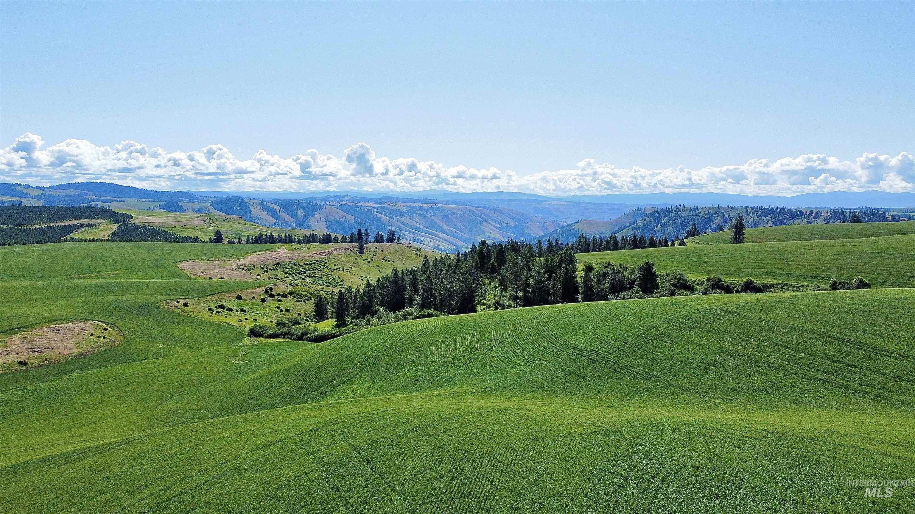 TBD Basket Rd, Nezperce, Idaho 83543, Land For Sale, Price $1,318,000,MLS 98976405