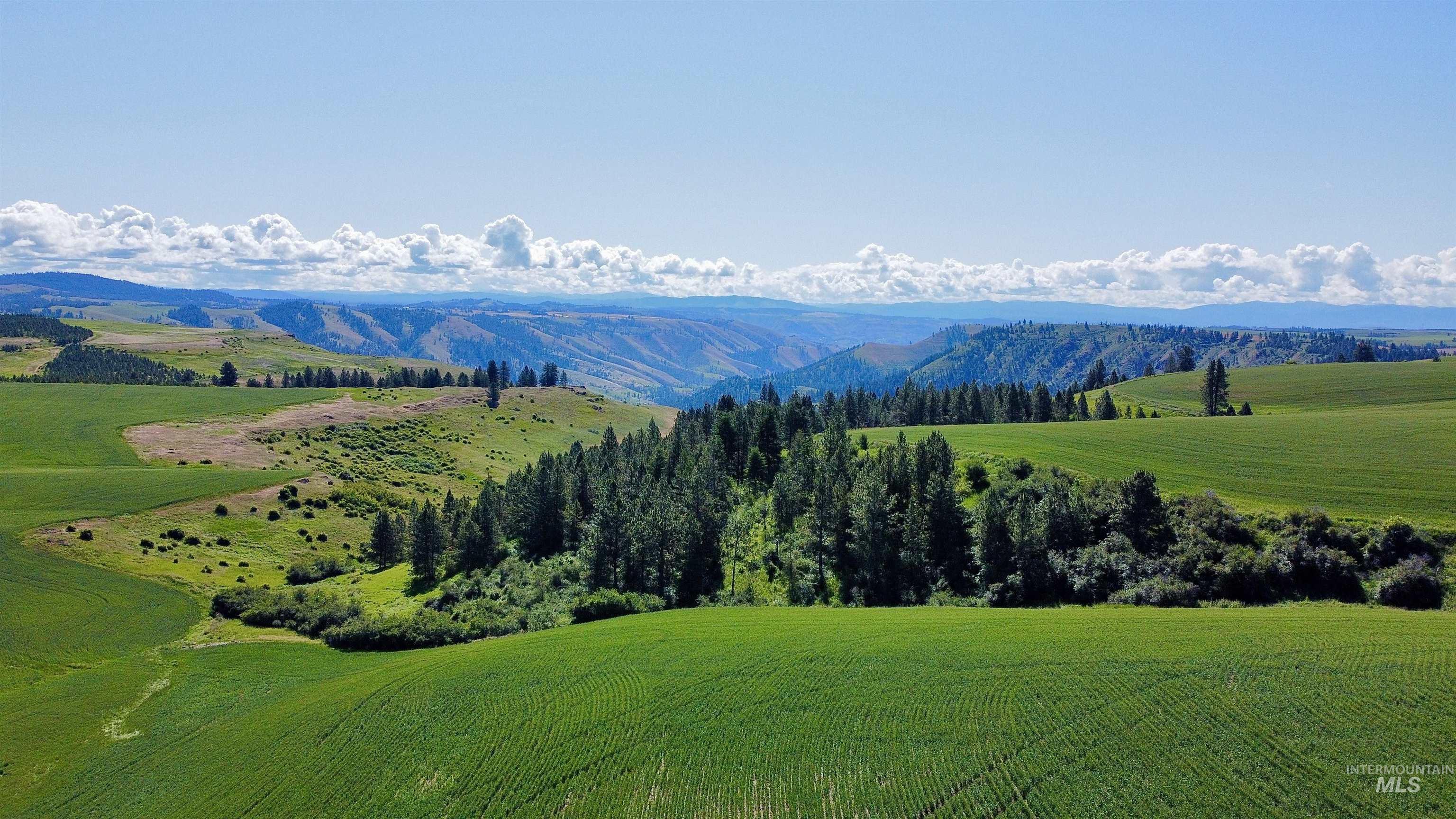 TBD Basket Rd, Nezperce, Idaho 83543, Land For Sale, Price $1,318,000,MLS 98976405