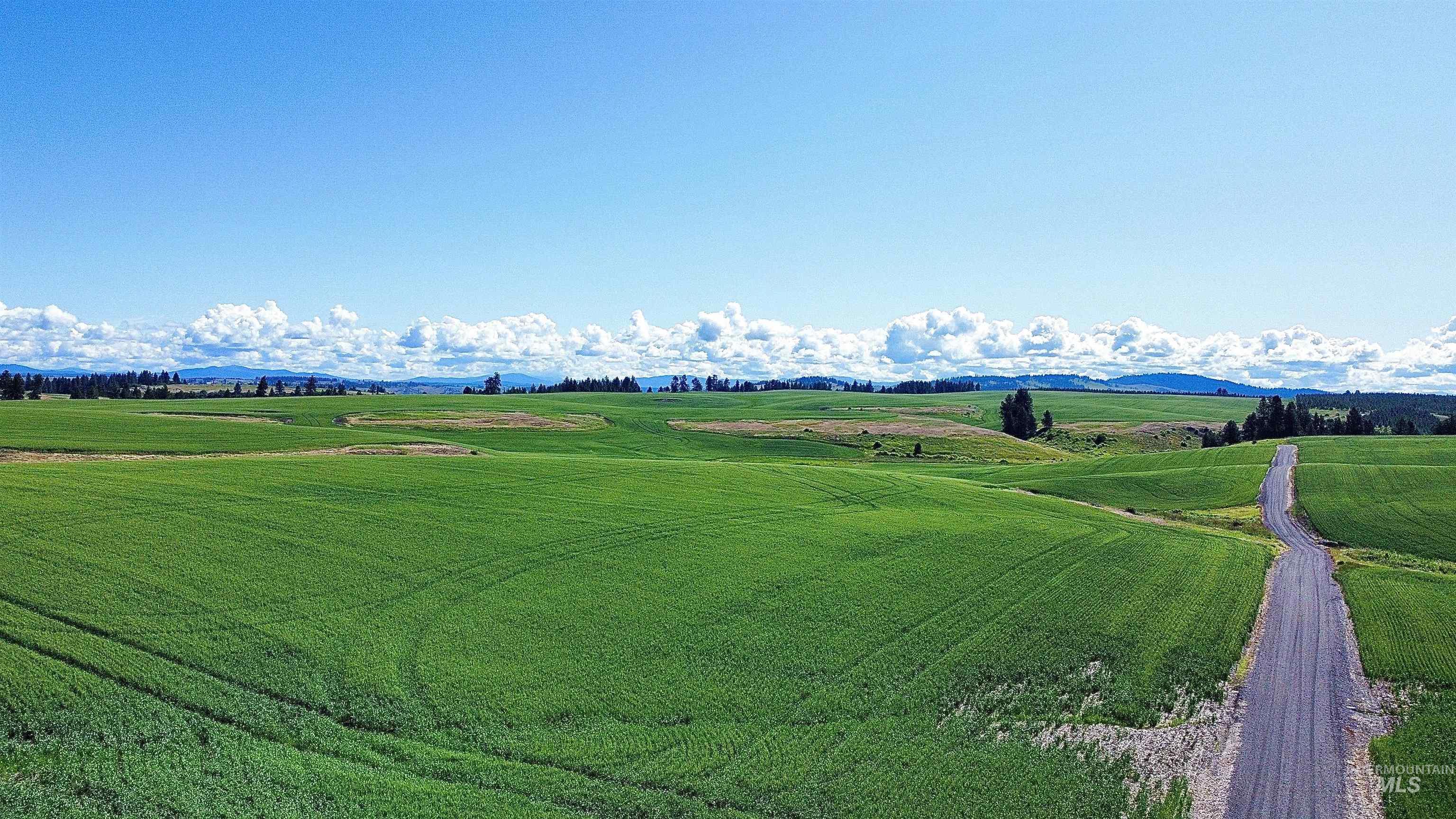 TBD Basket Rd, Nezperce, Idaho 83543, Land For Sale, Price $1,318,000,MLS 98976405