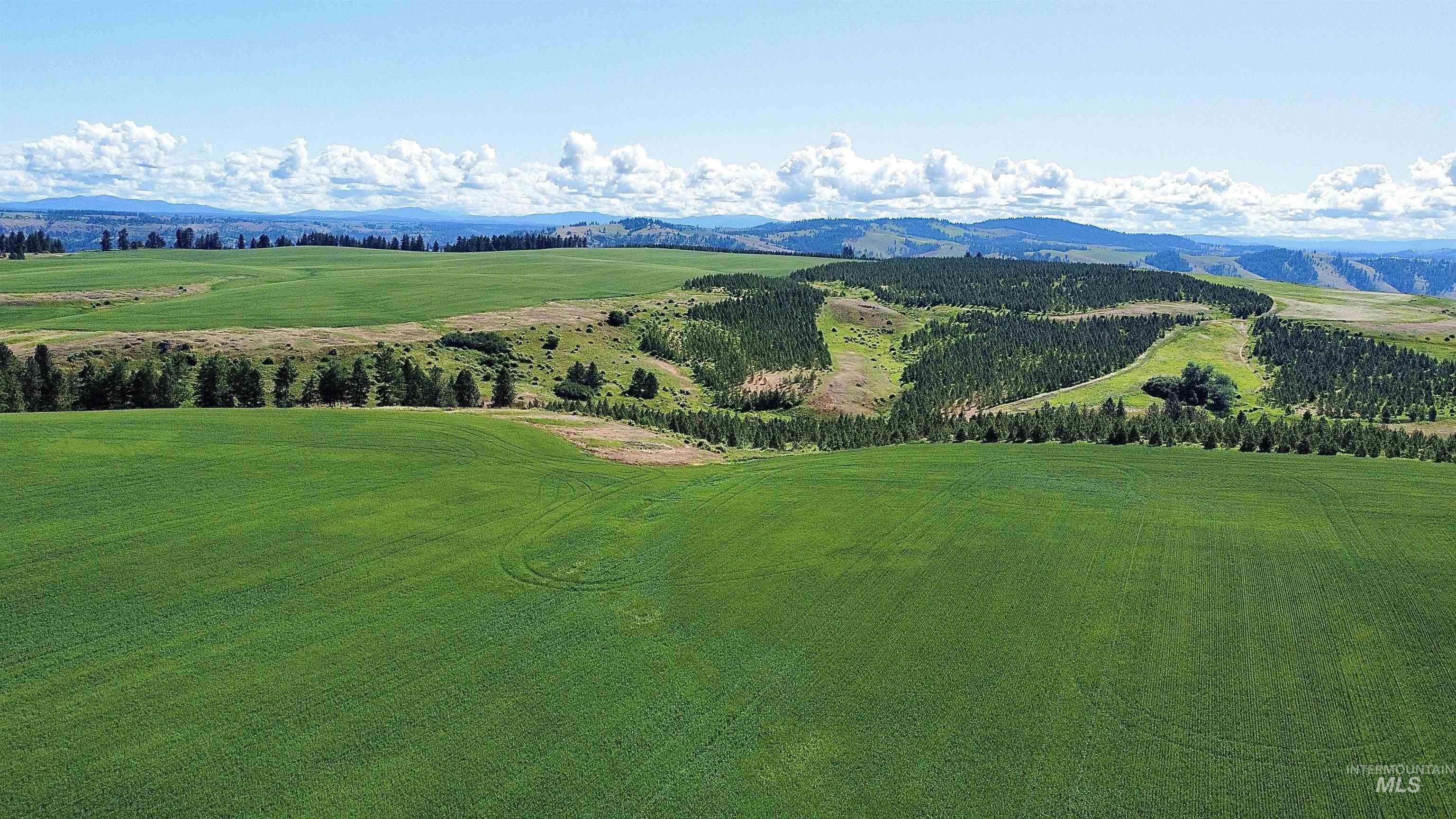 TBD Basket Rd, Nezperce, Idaho 83543, Land For Sale, Price $1,318,000,MLS 98976405