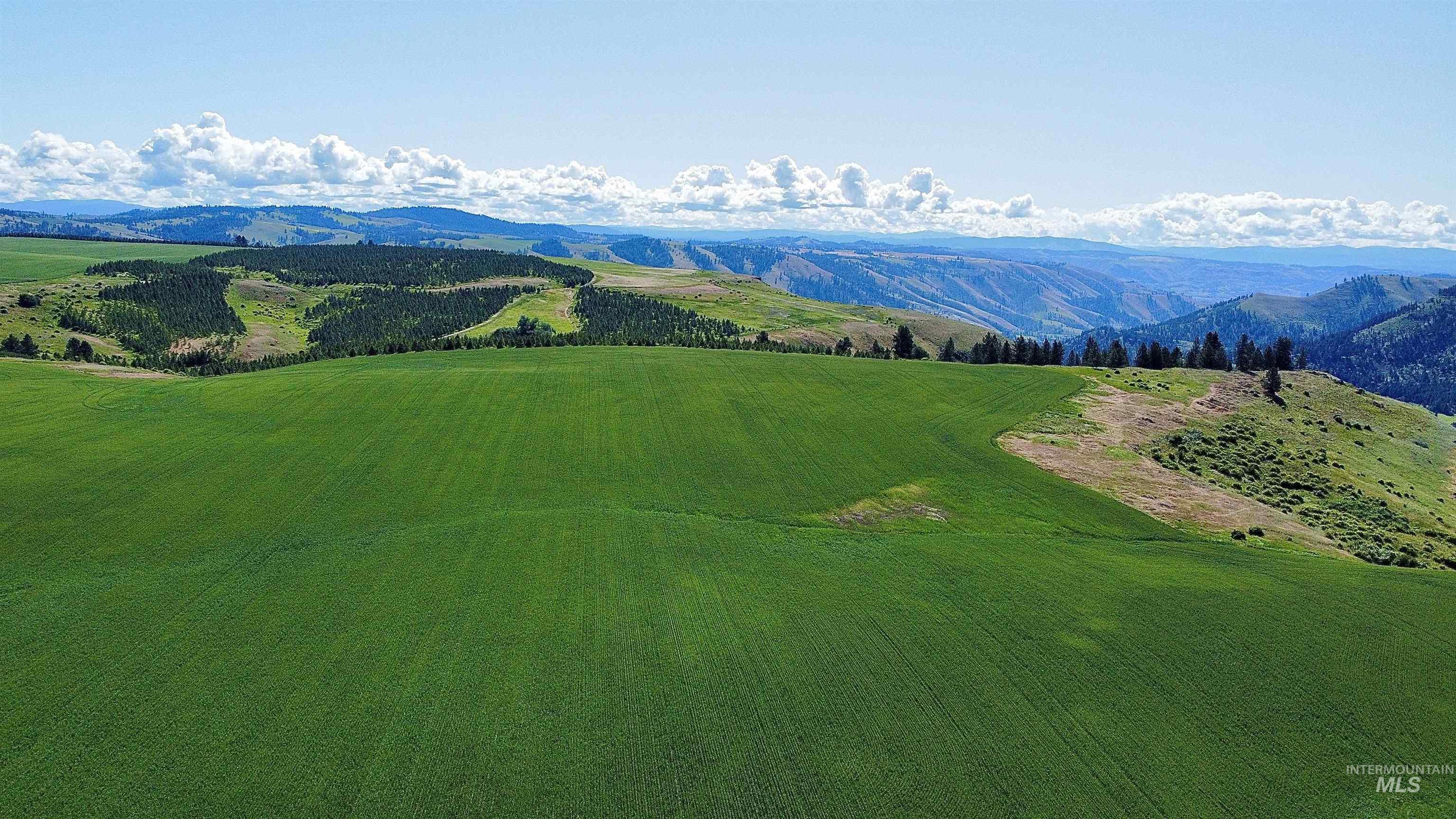 TBD Basket Rd, Nezperce, Idaho 83543, Land For Sale, Price $1,318,000,MLS 98976405