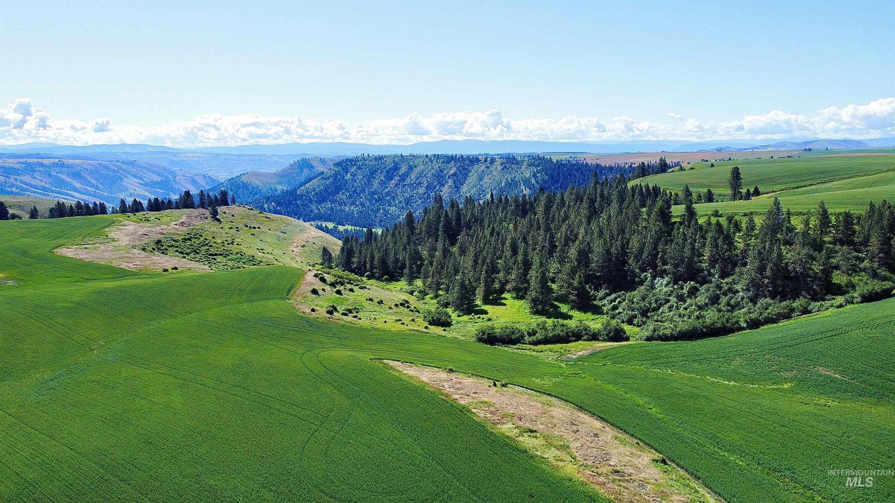 TBD Basket Rd, Nezperce, Idaho 83543, Land For Sale, Price $1,318,000,MLS 98976405