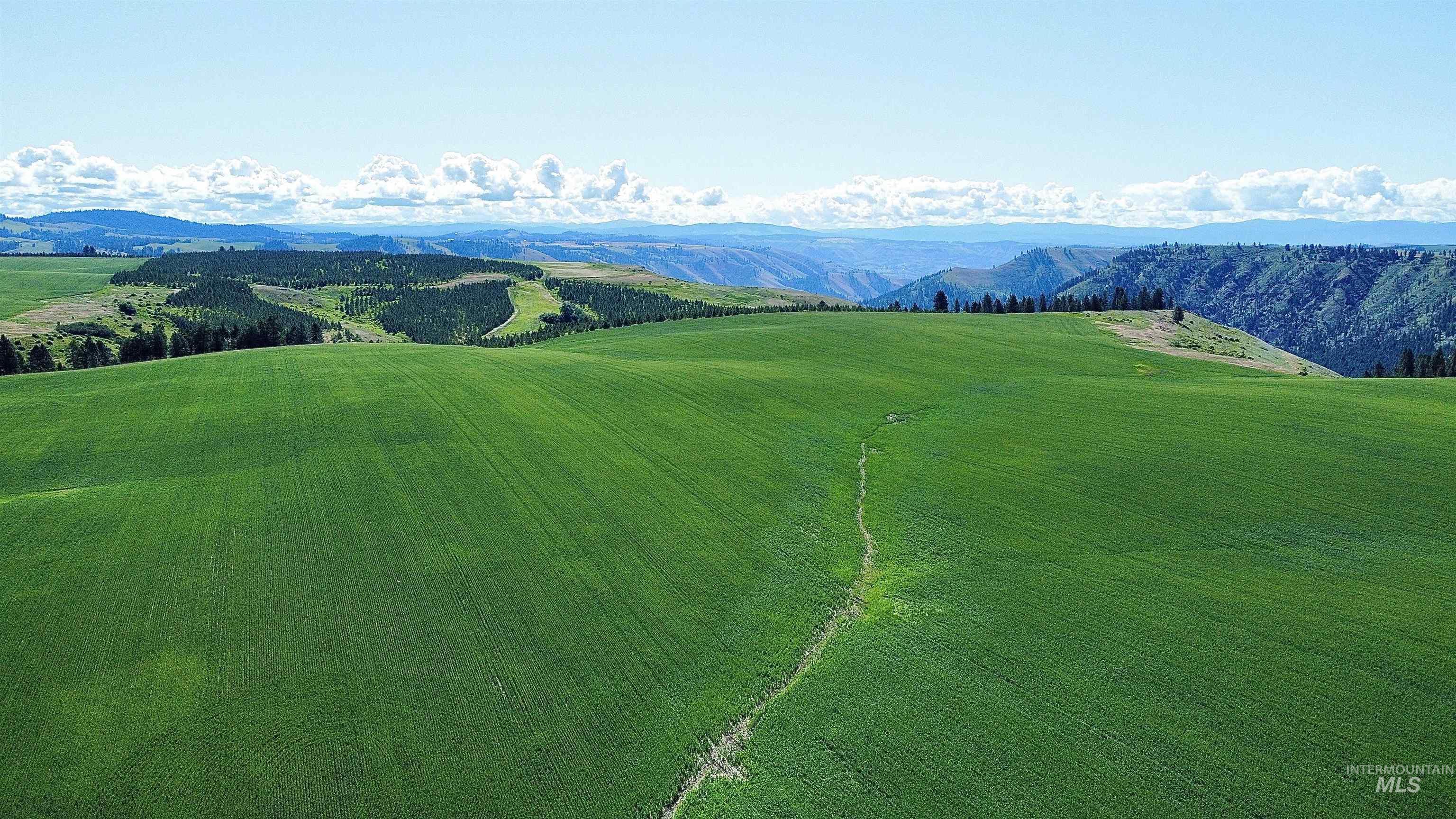 TBD Basket Rd, Nezperce, Idaho 83543, Land For Sale, Price $1,318,000,MLS 98976405